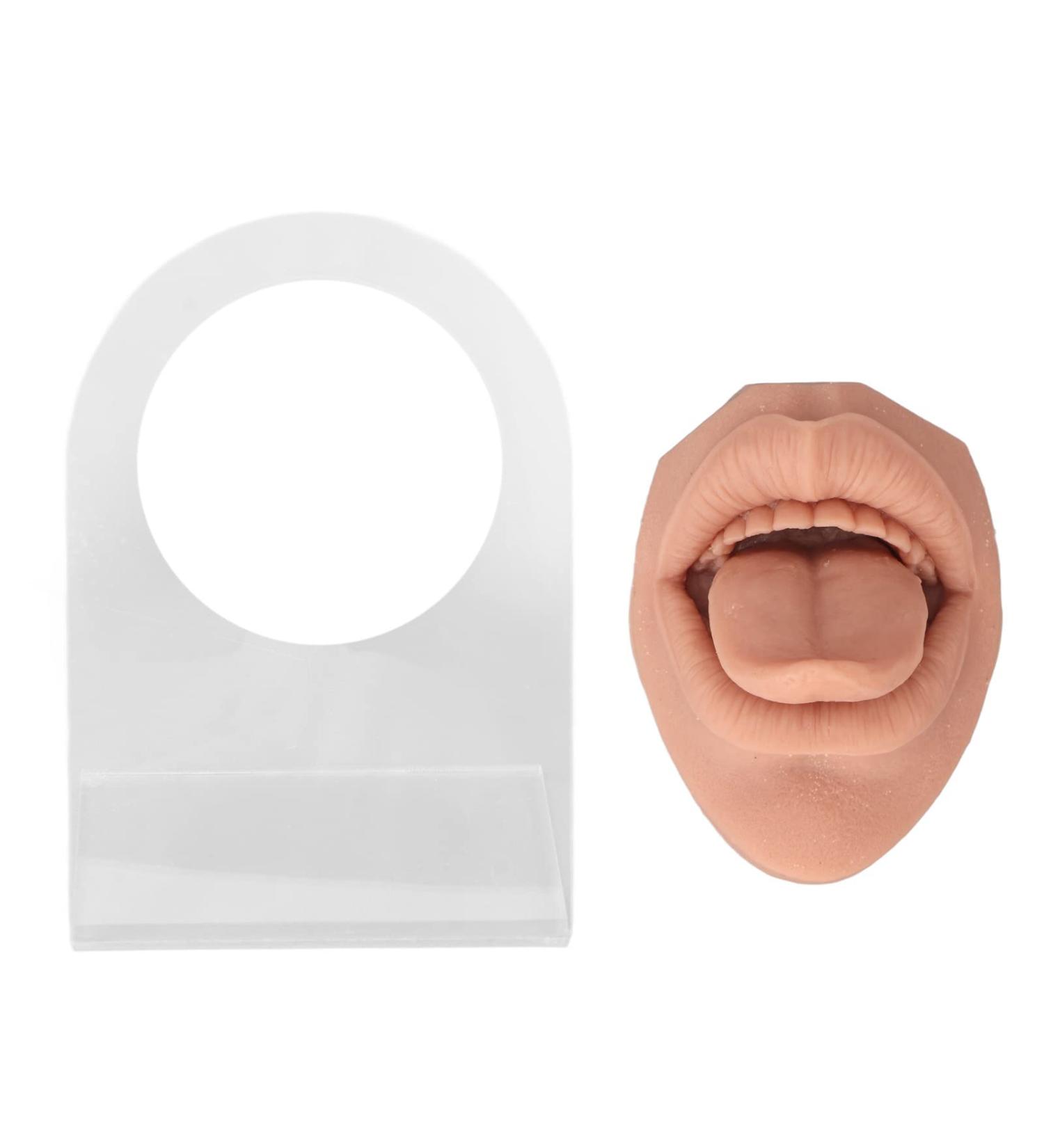 Soft Silicone Tongue Model with Acrylic Stand | Life-like Mouth Model for Jewelry & Piercing Practice | Ideal for Nursing Training - Meat Blonde - Buy Online on GoSupps.com