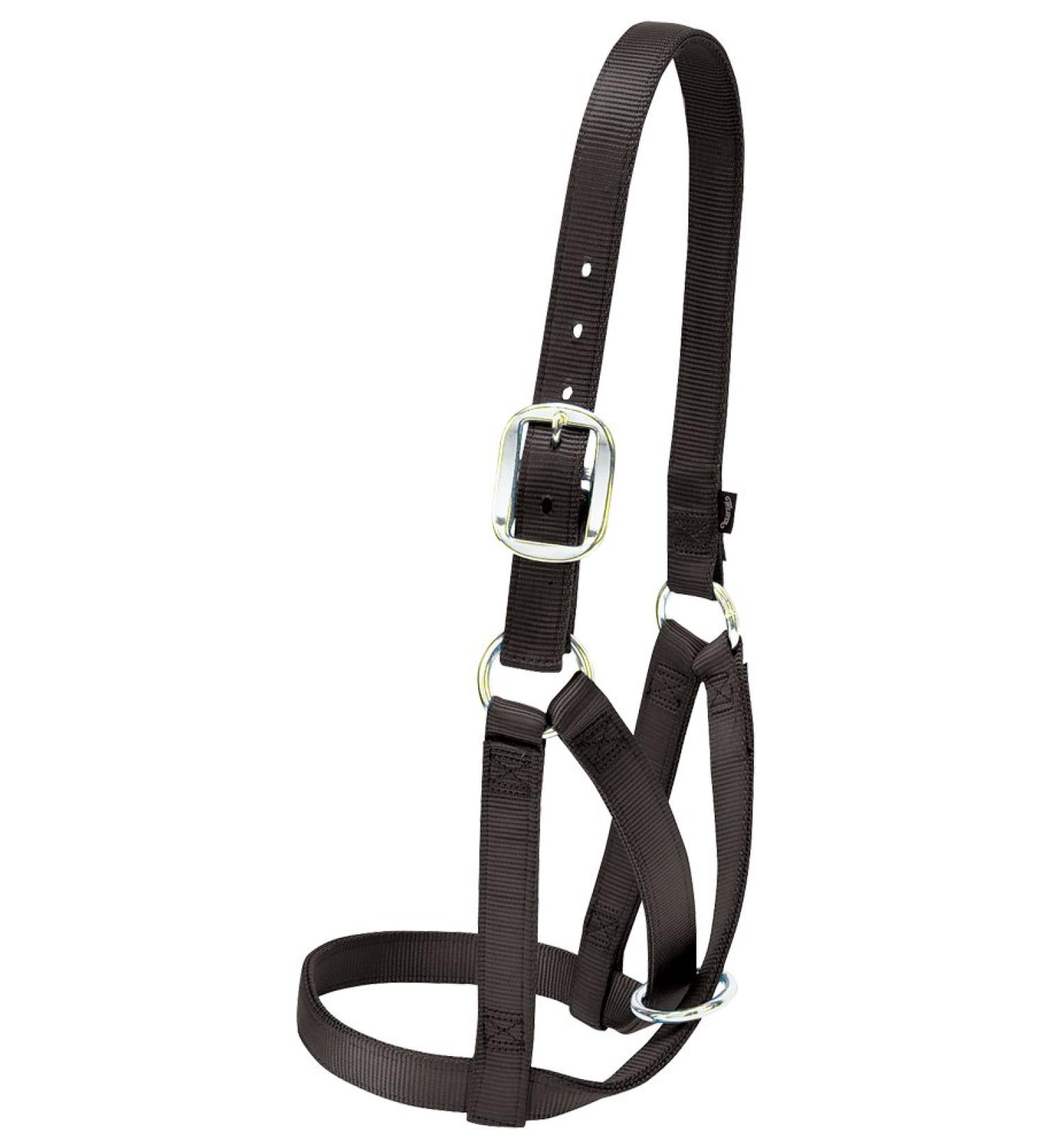 Weaver Leather Barn Cow Halter Large Black