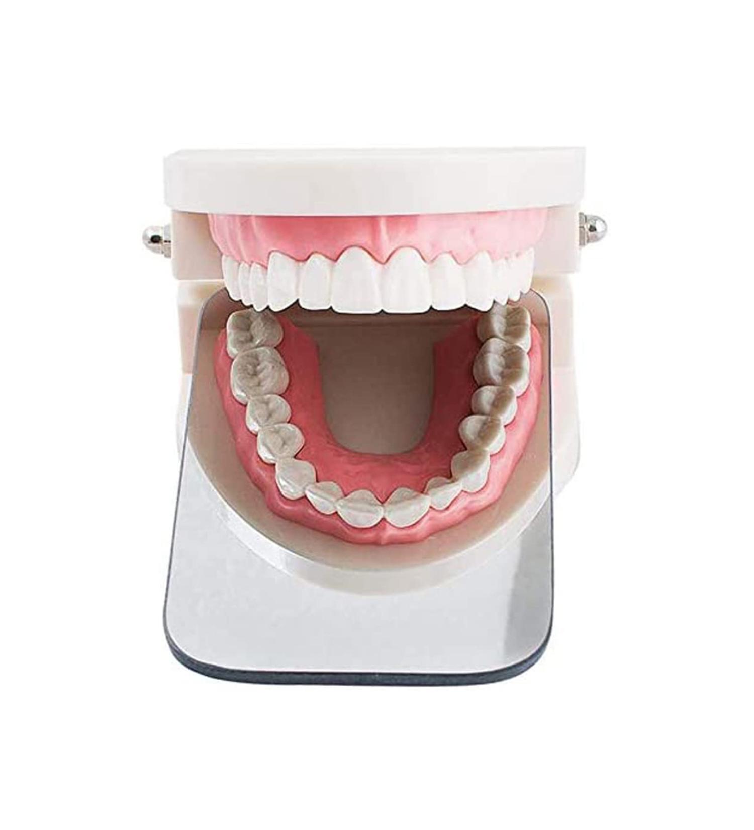 Uziah Dental Intraoral Mirror - Coated Glass Photography Mouth Mirror for Clinics & Dentists - Buy Online on GoSupps.com