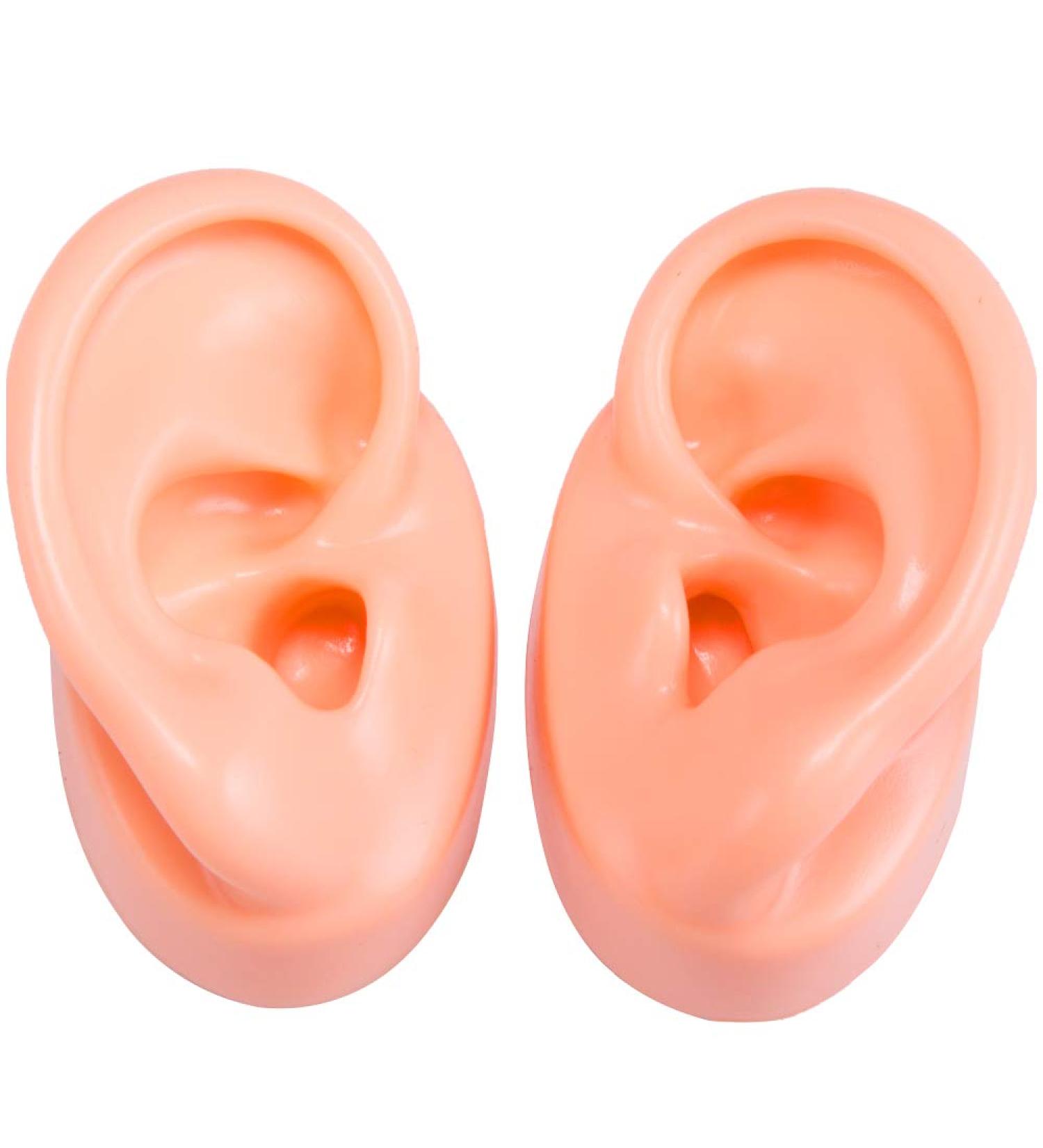 Simulation Ear Model - Soft Silicone Ear Model for Acupuncture - Silicone Artificial Ear Model for Ear Picking Practice Studs Earring Display Props - Buy Online on GoSupps.com