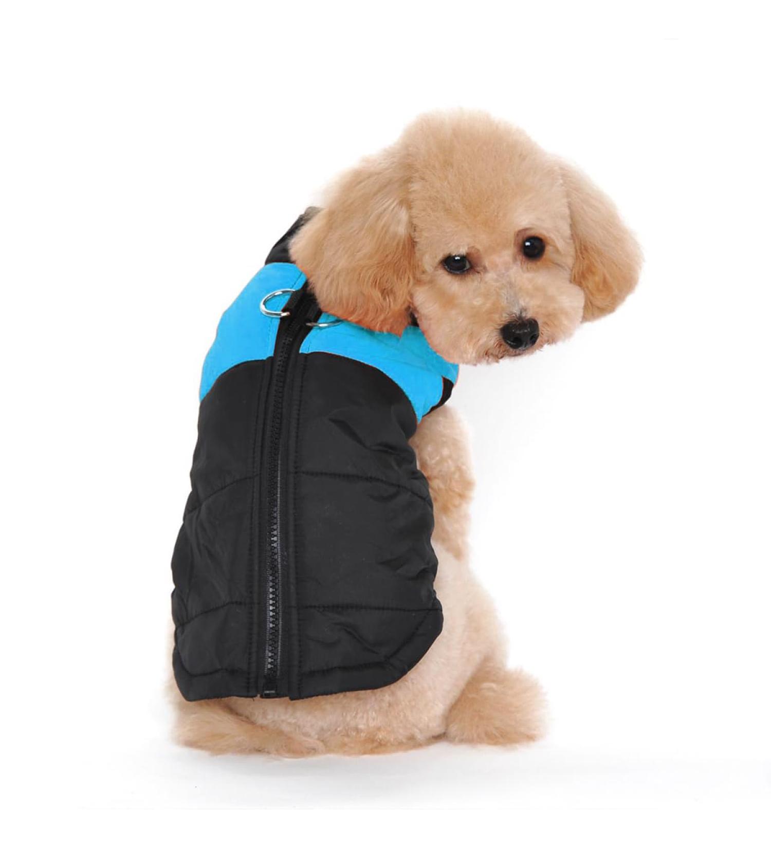 Ectkuee Winter Dog Coat - Waterproof Quilted Puffer Jacket for Small Dogs | Warm & Cozy Pet Clothes 3XL Bleu - Buy Online on GoSupps.com