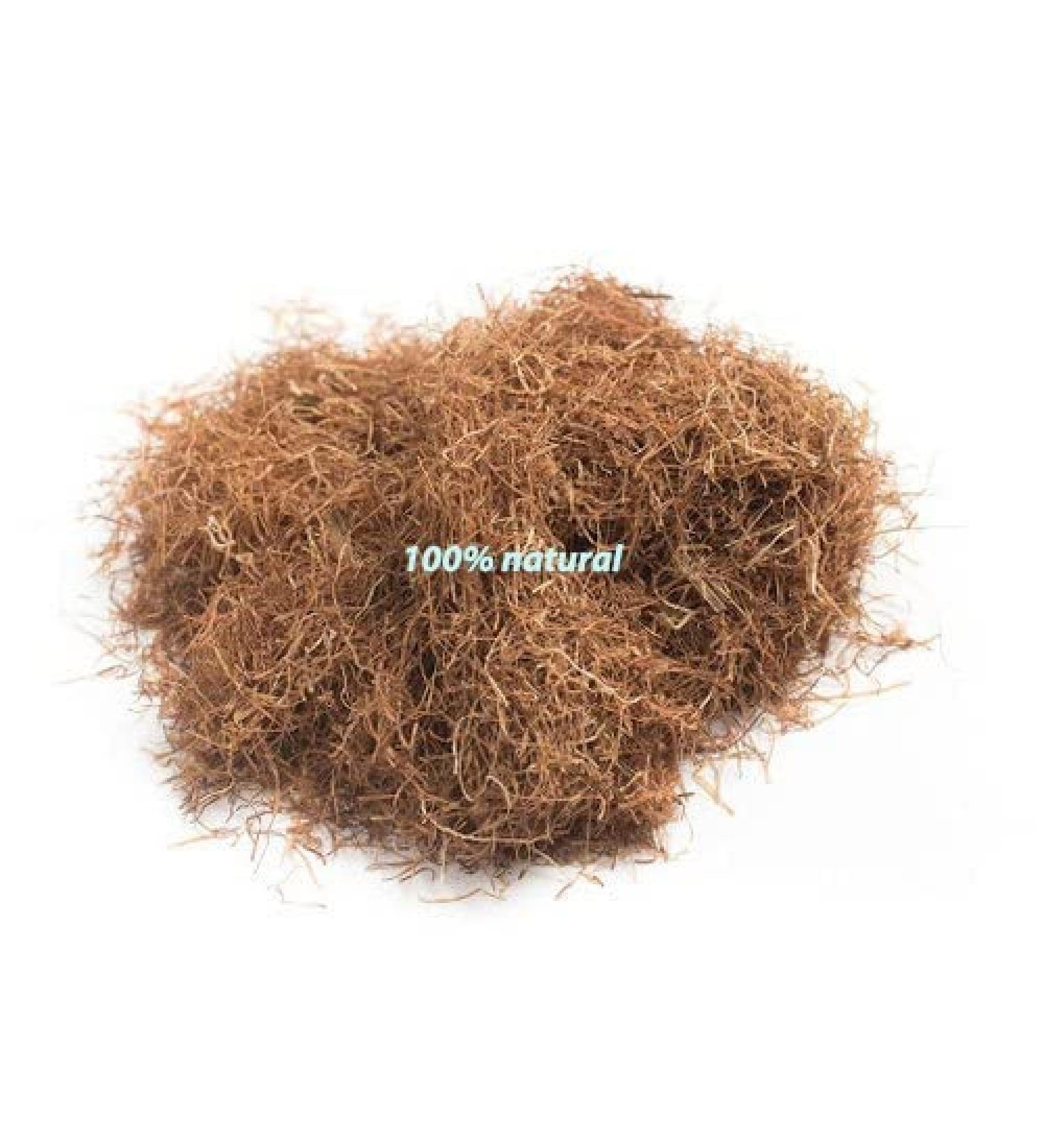 DK Corn Silk | Corn Silk | Corn Hair | Corn Hair | Makai Hair | 2 Pack | (100g) - Buy Online on GoSupps.com