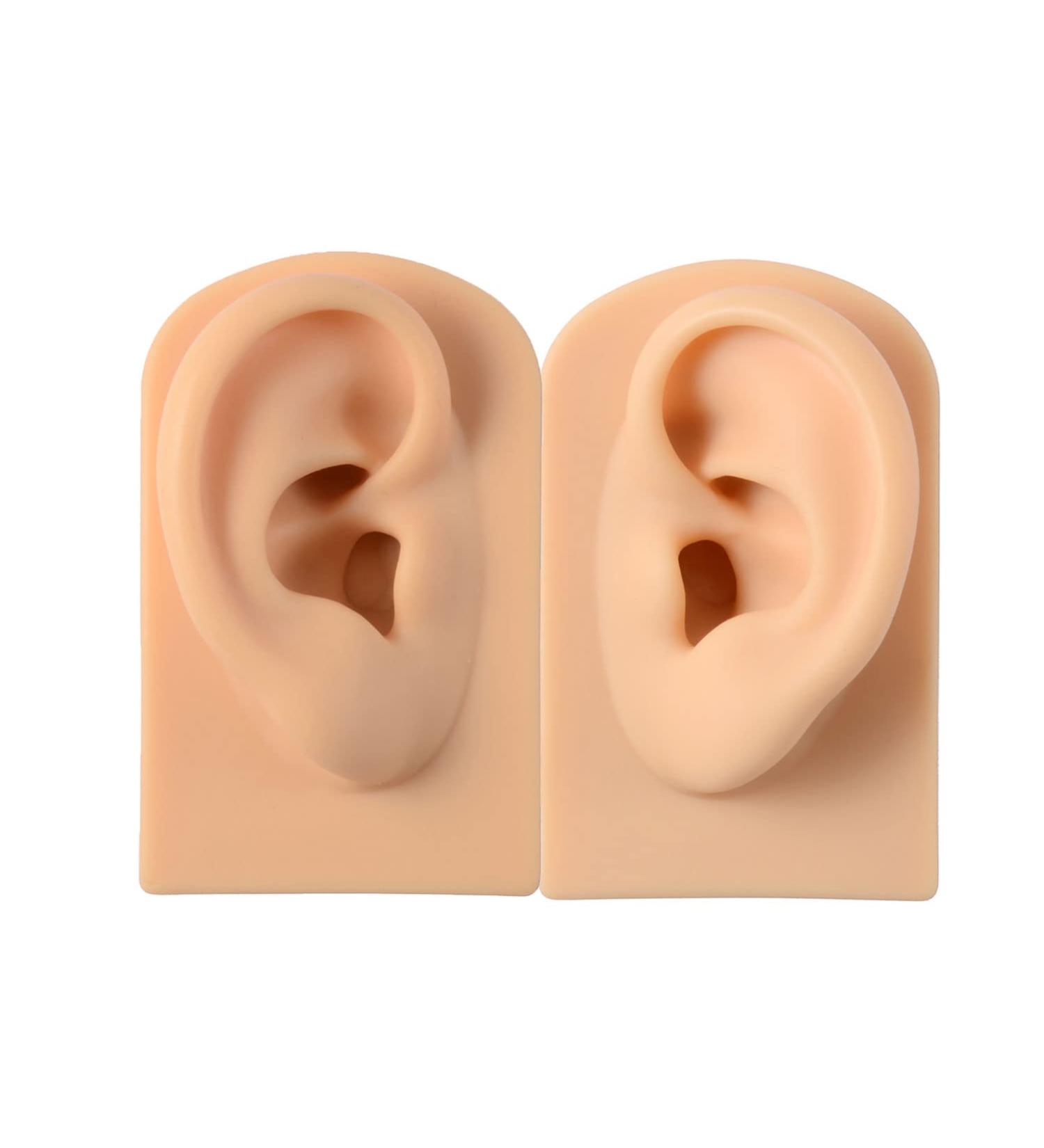 Human Ear Model Professional Soft Silicone Ear Model Fake Ear Display Sample Ear Acupuncture Practice Model for Ear Picking Ear Piercing Teaching Acupuncture B 1 pair - Buy Online on GoSupps.com