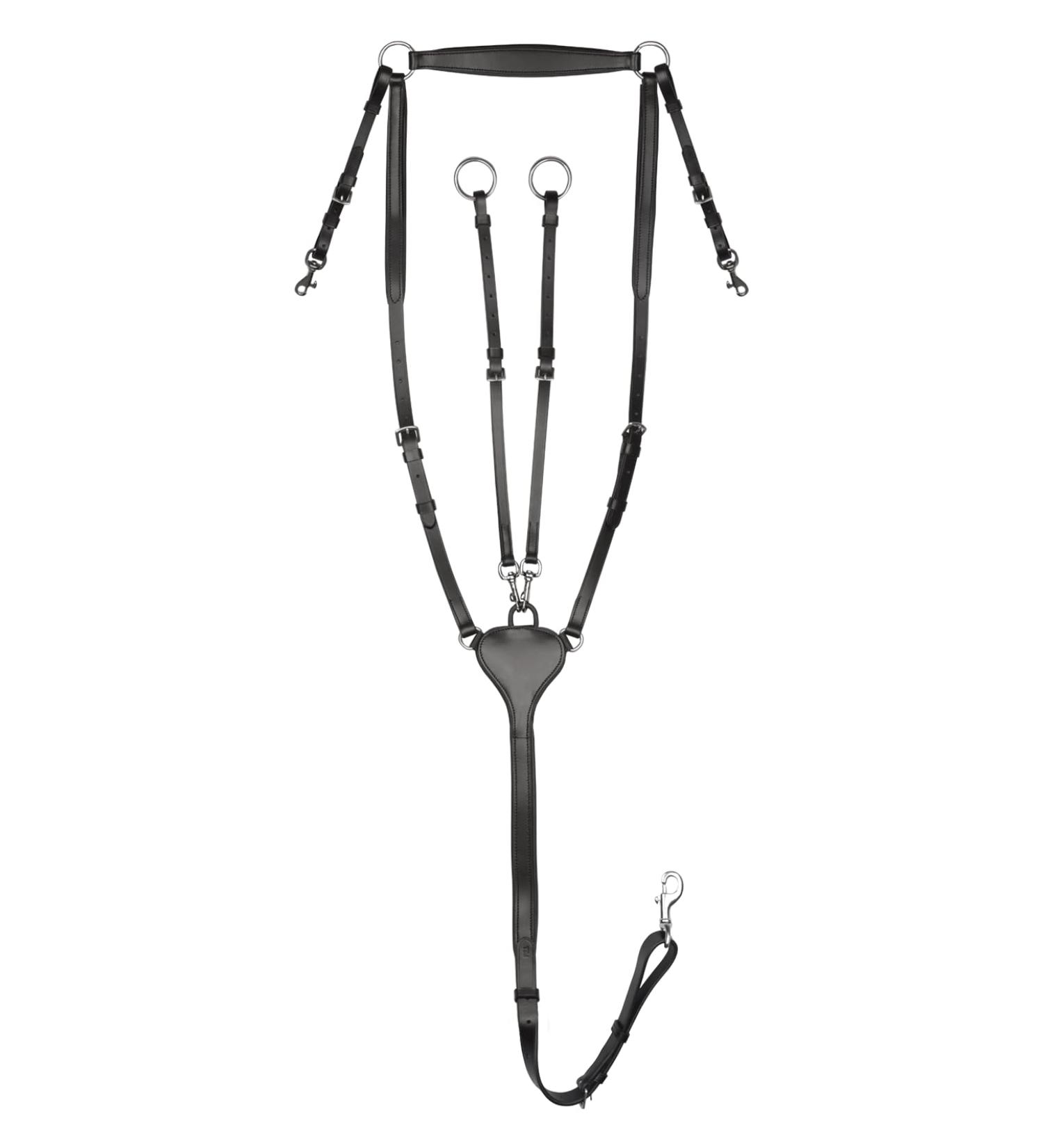 WALDHAUSEN Waldhausen X-Line Breastplate Professional VB black