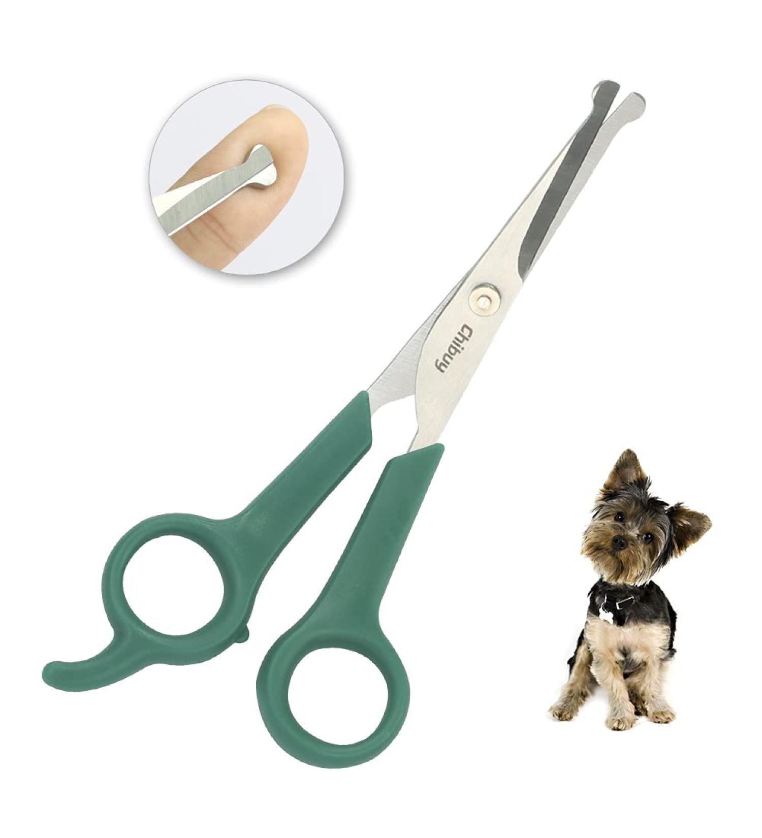 Chi-buy Pet Grooming Scissors for Dogs and Cats with Safe Round Tips Stainless Steel Dog Eye Cutting Scissors Home Professional Pets Grooming Tool (Green) - Buy Online on GoSupps.com