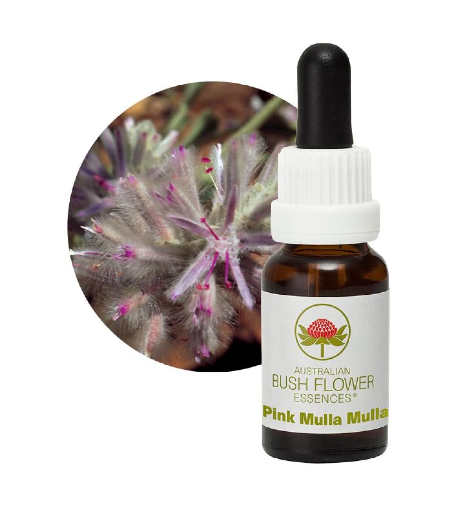 Bush Flower - Pink Mulla Mulla 15 ml - Essence florale
