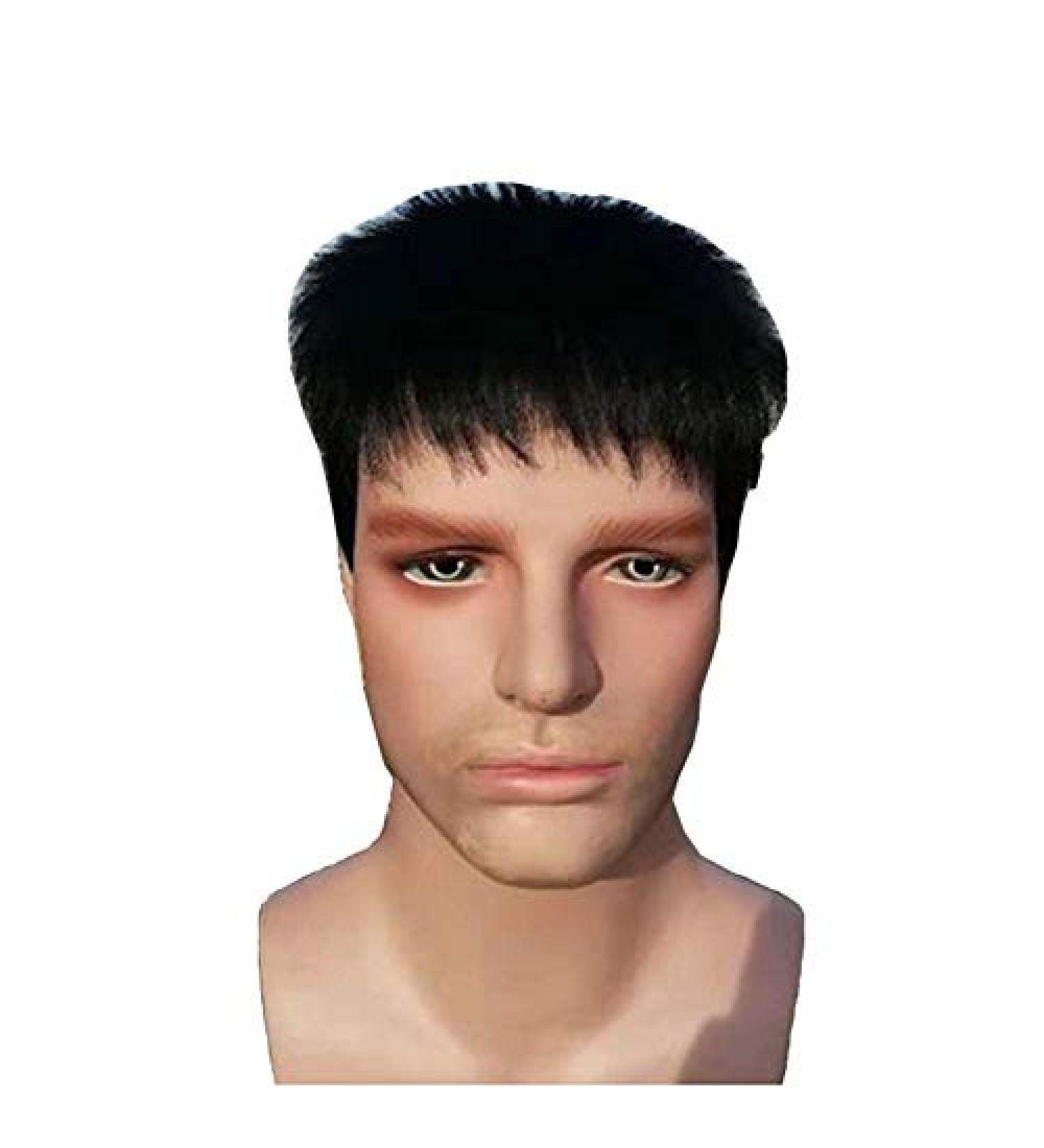 BGHJUE Men's Synthetic Wig - Natural Black Short Straight Hair for Daily Wear - Buy Online on GoSupps.com