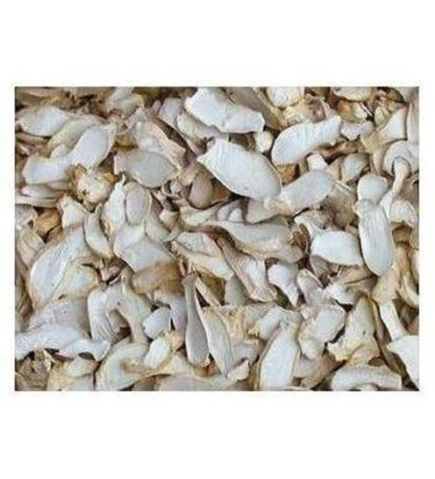 WENXUANSU:4 Pound (1816 grams) Oyster Dried Mushroom Premium Grade from Yunnan China