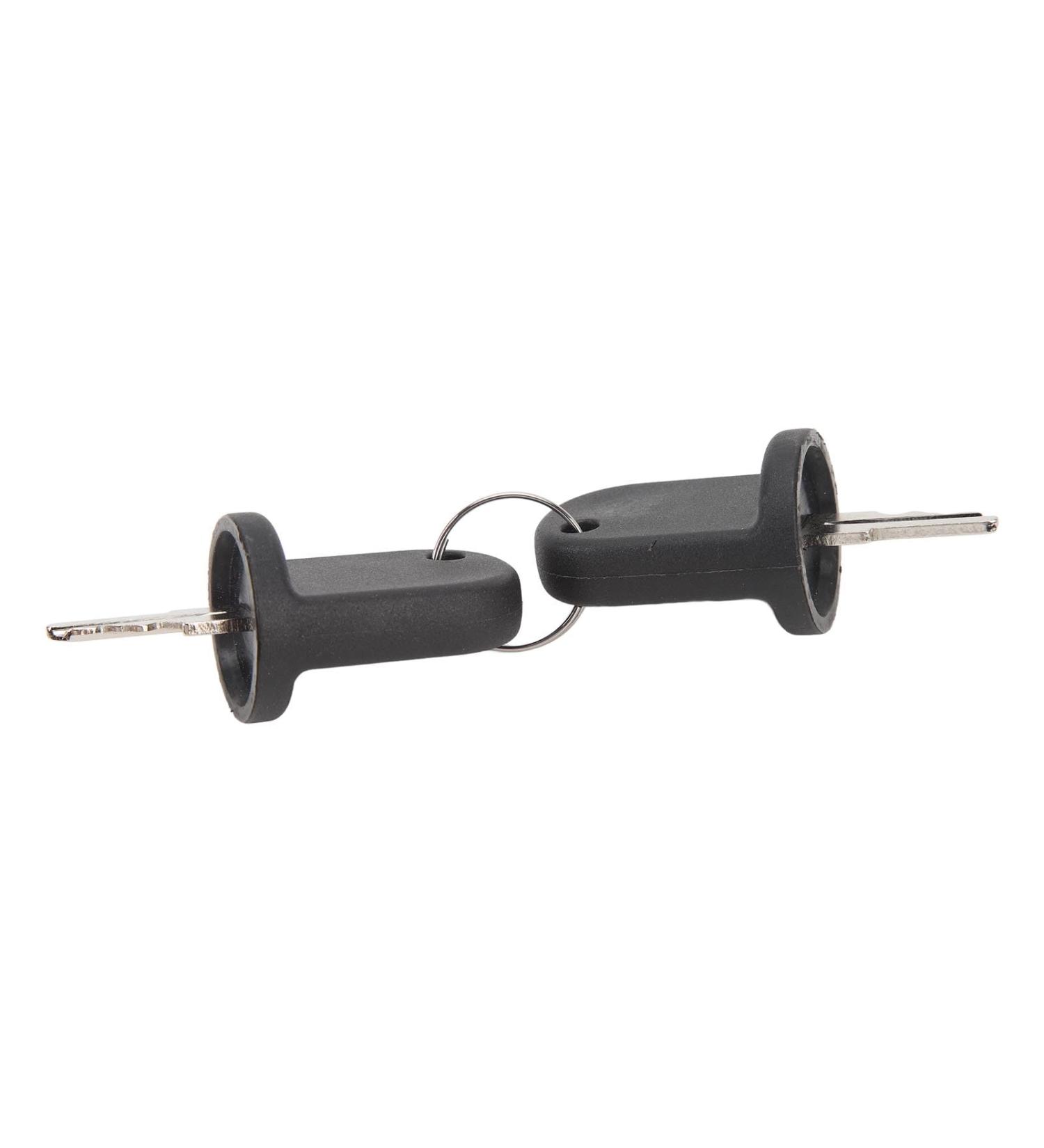Durable Golf Car Ignition Key - Easy to Use 2 Pieces Robust 609680 for RXV Gas & Electric Golf Carts - Buy Online on GoSupps.com