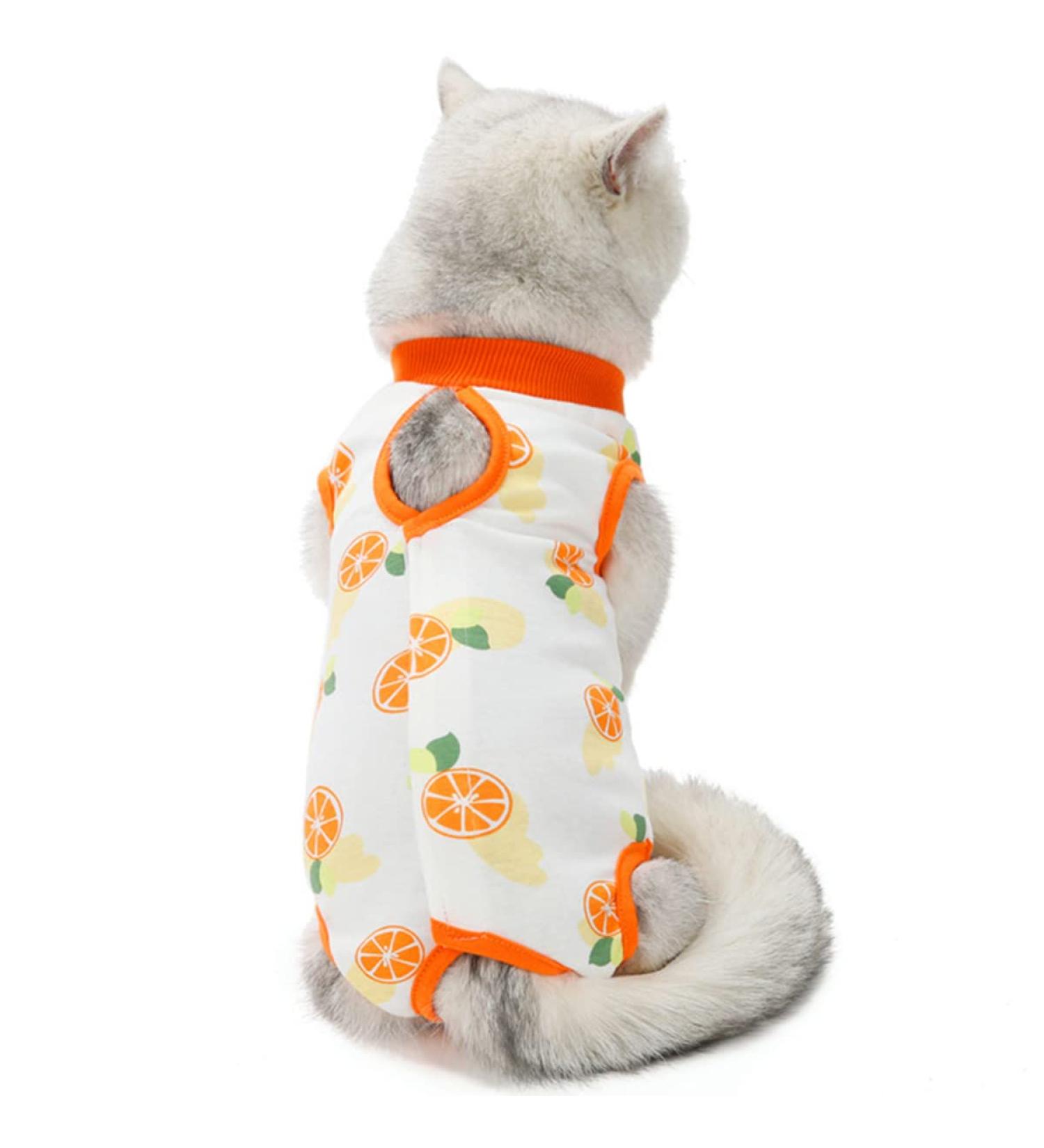 Agoumlux Katzenbody for Cat Surgery Recovery - Leak-Proof Cotton Wear in Orange Size L | After Neutering or Castration - Buy Online on GoSupps.com