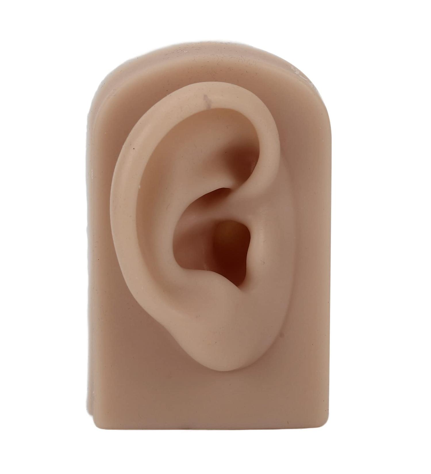 Soft Silicone Right Ear Model for Beauty Salon Training and Earrings Display - Brown - Buy Online on GoSupps.com