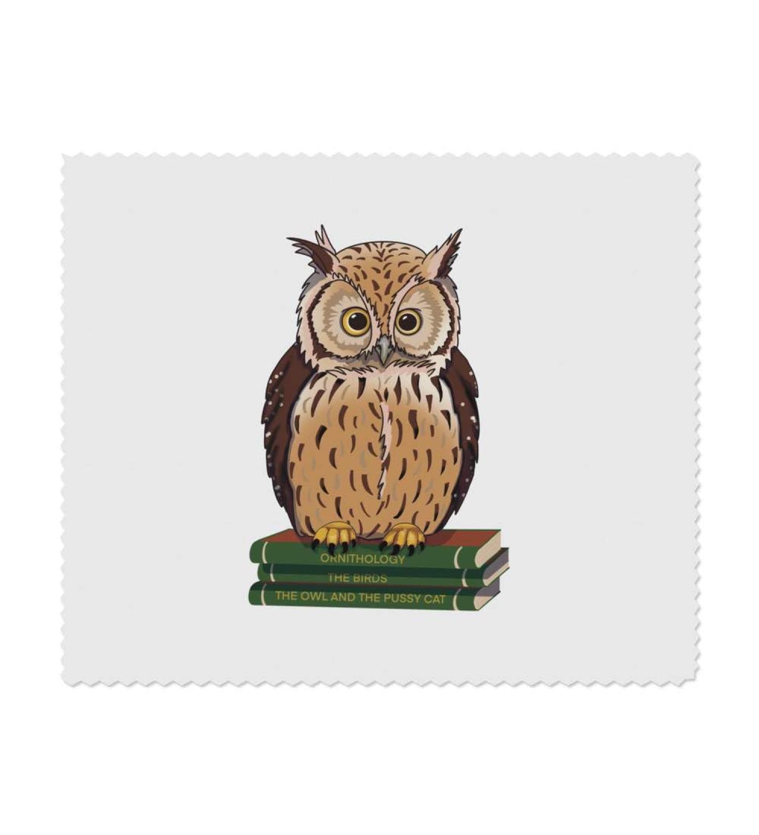 Azeeda Owl on Books Microfiber Glasses Cleaning Cloths - Pack of 2 | International Shipping Available - Buy Online on GoSupps.com