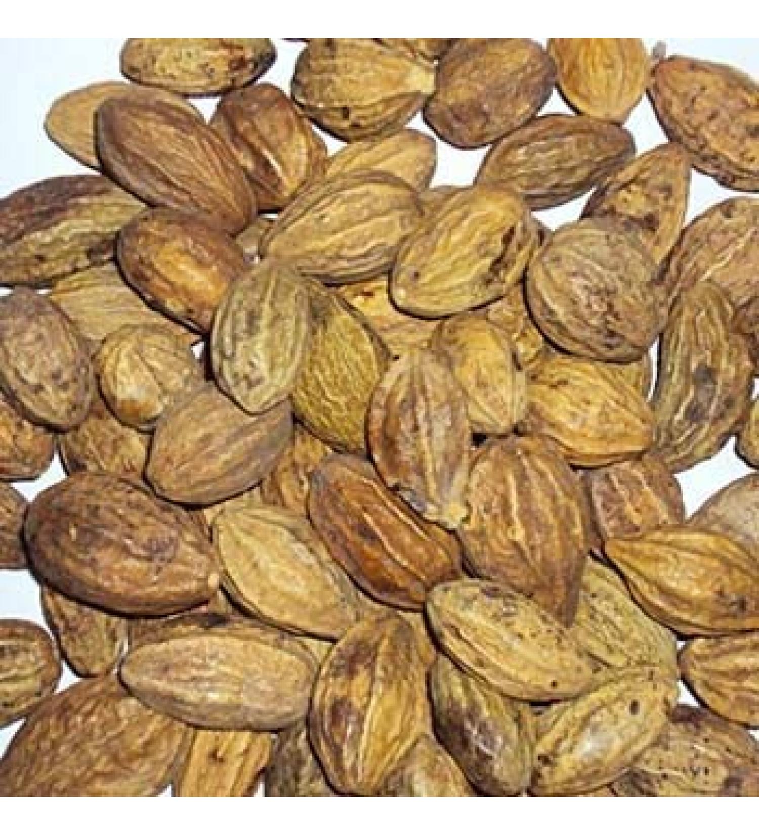 Harde Whole Herb Terminalia chebula / Haritaki / Black Myrobalan- 100g