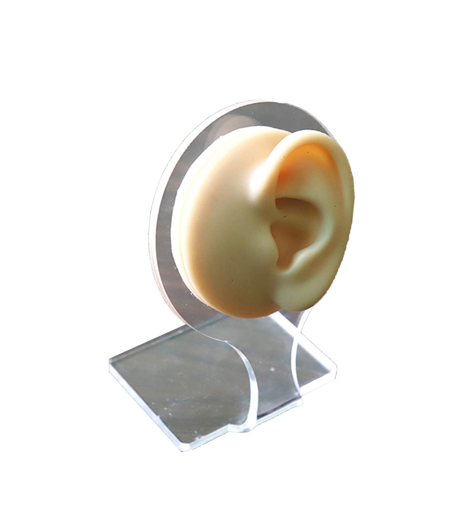 Silicone Ear Model Practice Piercing Tools Body Jewelry Ear Stud Tool Simulation Display Props for Jewelry Display Teaching Tool Right (Left) - Buy Online on GoSupps.com