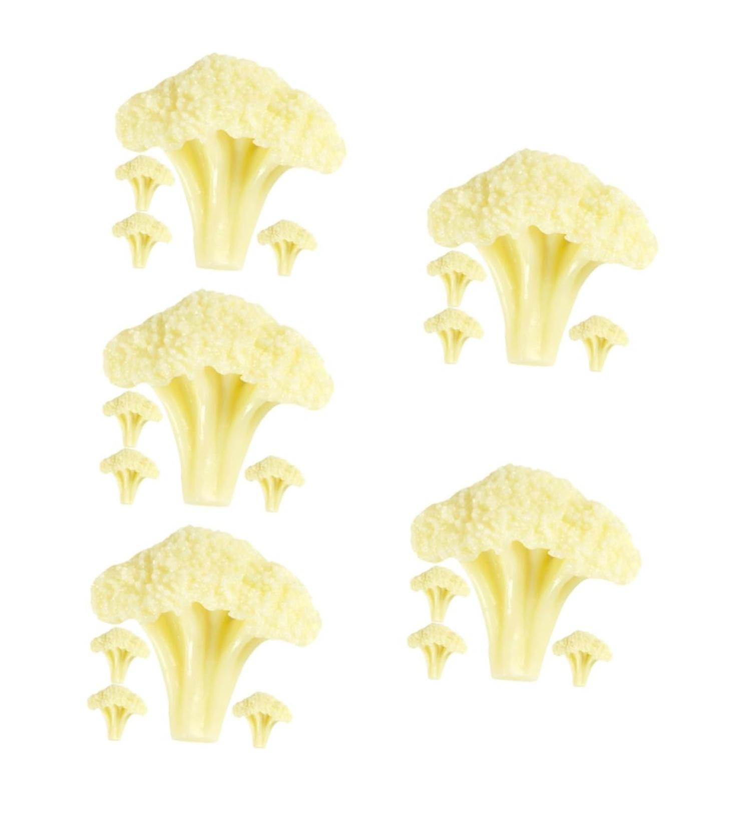 Alipis 20 Pcs Cauliflower Model Simulated Cauliflowers Model Fruit Toys Fake Vegetable Props Simulation Fake Cauliflowers Models Food Decor Faux Cauliflowers Green Plants Pvc Food Play White 4x5pcs 6X5.5CMx5pcs - Buy Online on GoSupps.com