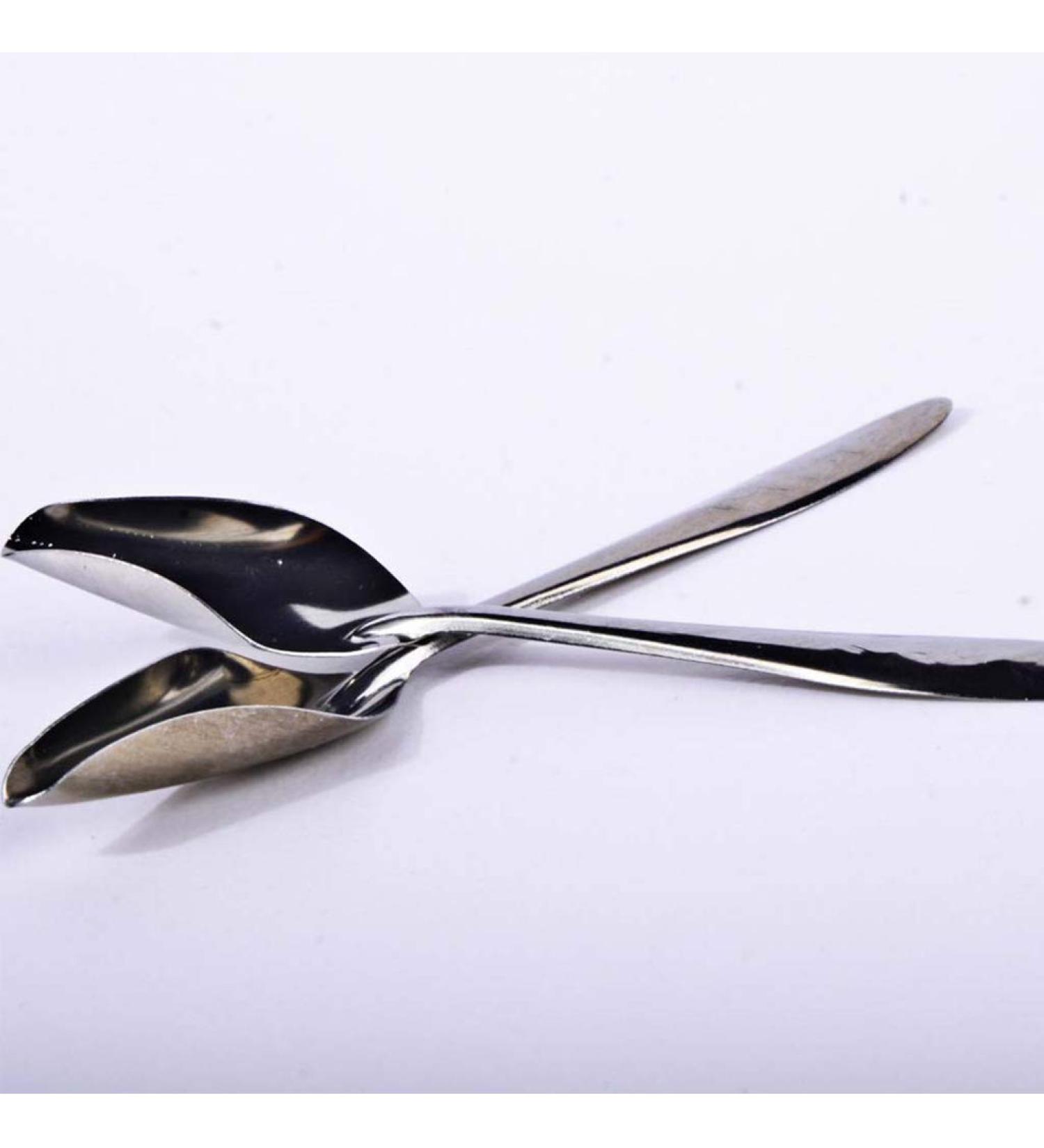 Folewr 5 Pcs Baby Bird Pointed Feeding Spoon Stainless Steel Milk Medicine Parrot Feeder for All Baby Bird Peony Cockatiel Household Pet Feeding Supplies - Buy Online on GoSupps.com