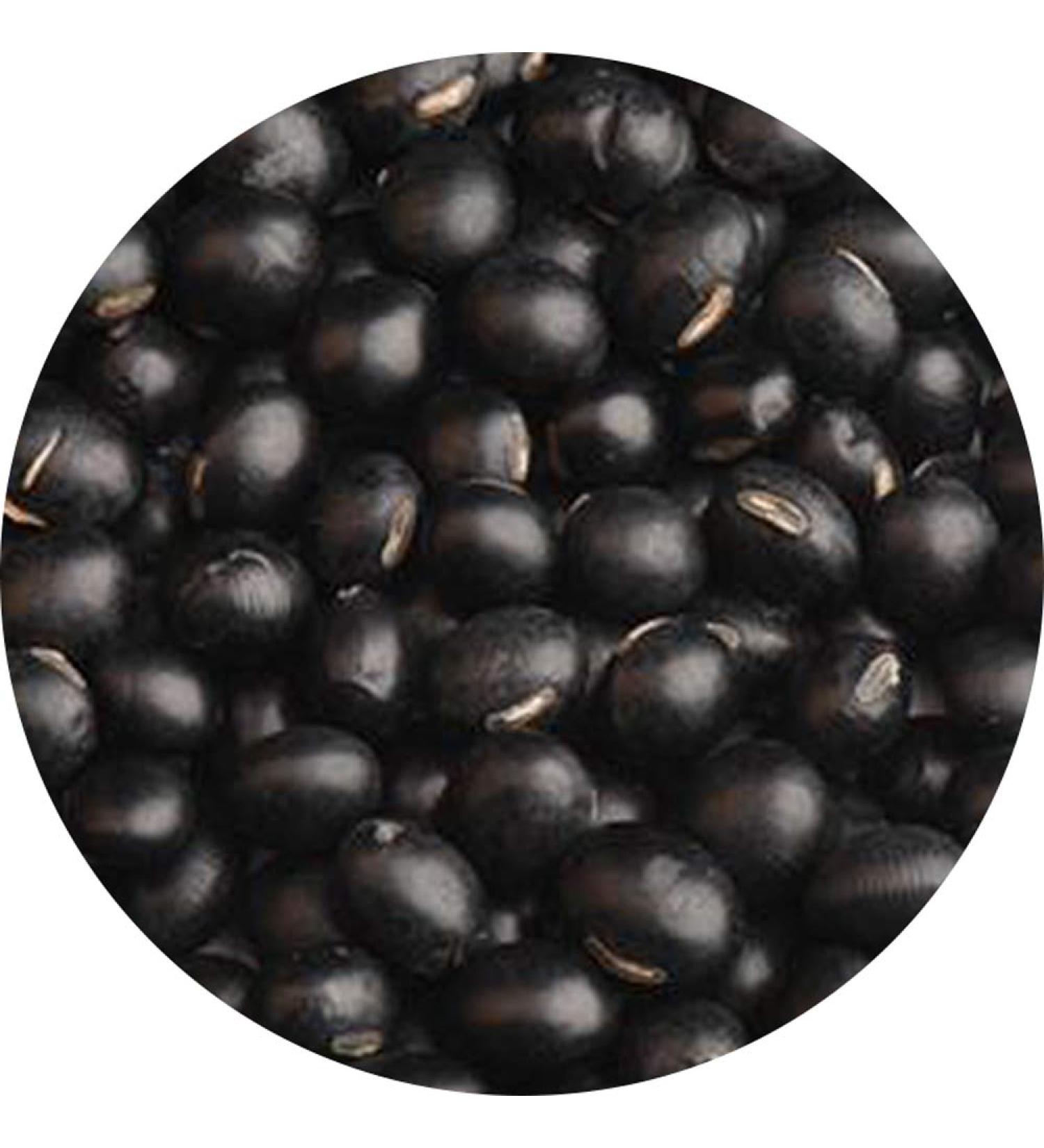 GLORIOUS INHERITING Black Soybean with Yellow Kernel - 500g Retail Bag - Premium Quality for International Shipping - Buy Online on GoSupps.com