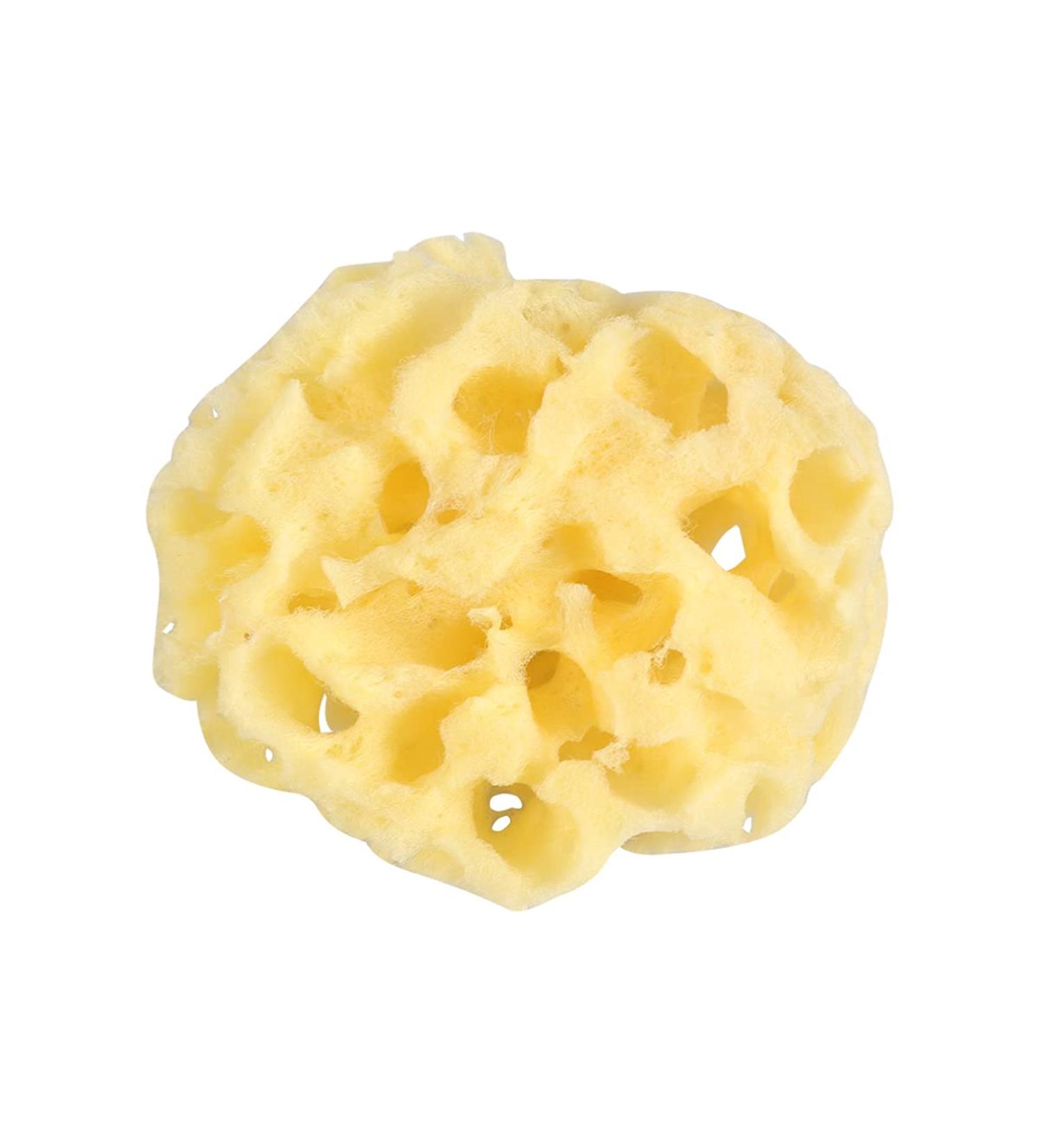 DOITOOL Bath Sponge Foam Loofah Sponge Seaweed Sponge Honeycomb Wash Face Sponge Cotton Shower Supplies Softly Rough but Not Skin Irritating Lathers & Washes Really Well - Buy Online on GoSupps.com