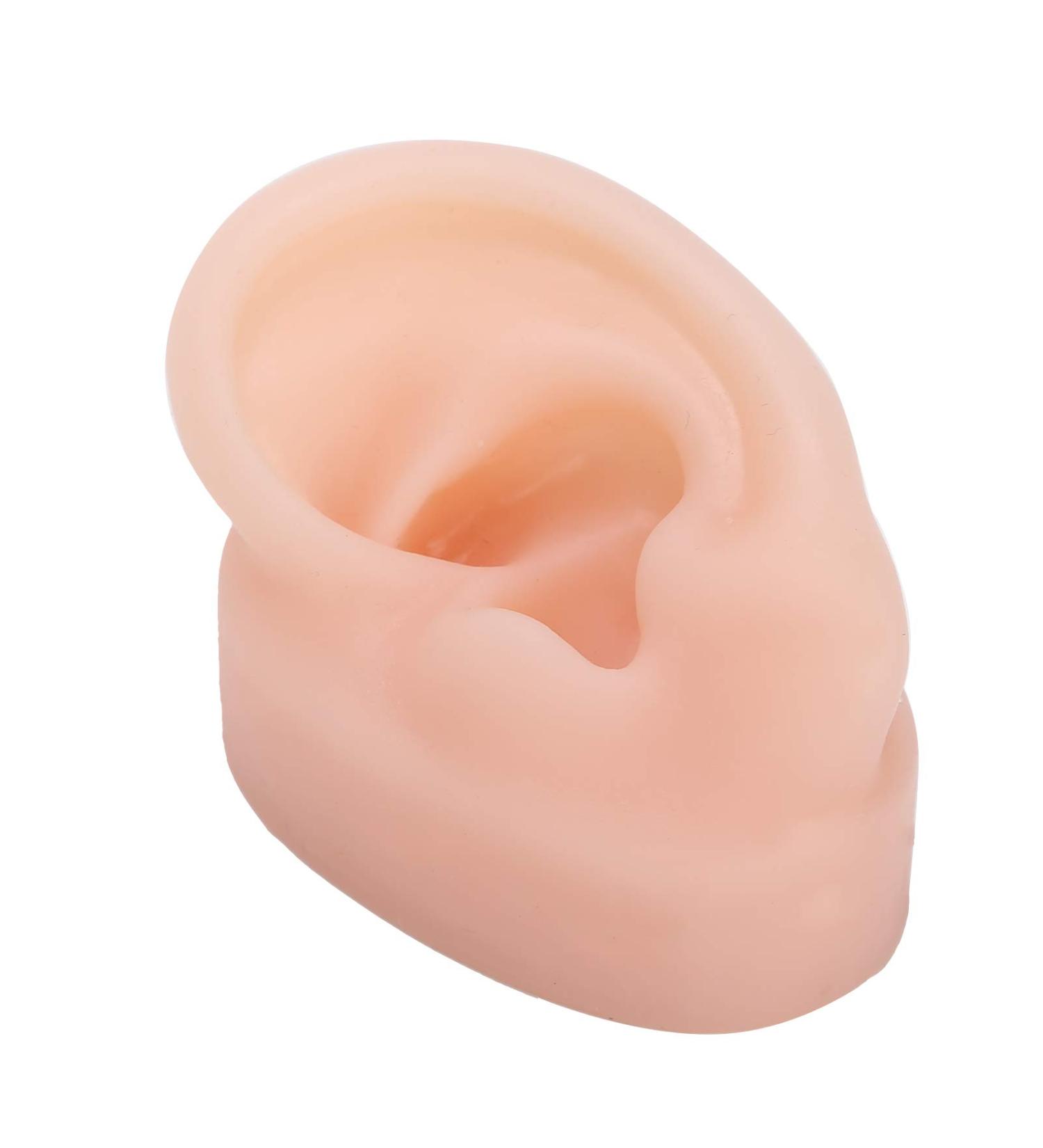 Silicone Human Ear Model for Hearing Aid Demonstration - Shop Window Display - Buy Online on GoSupps.com