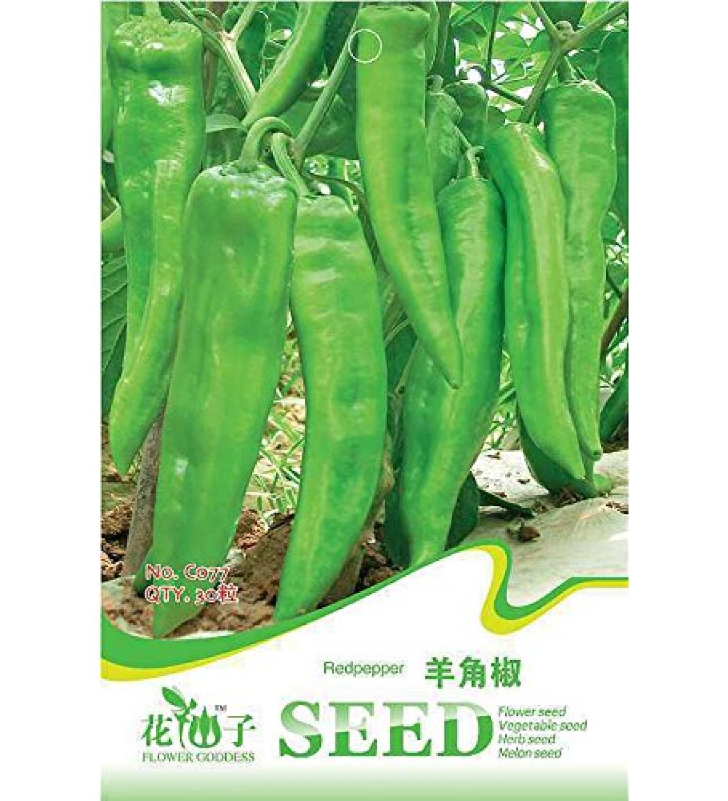 3 Pack 90 Healthy Green Fork Green Pepper Vegetable Seeds Capsicum C077