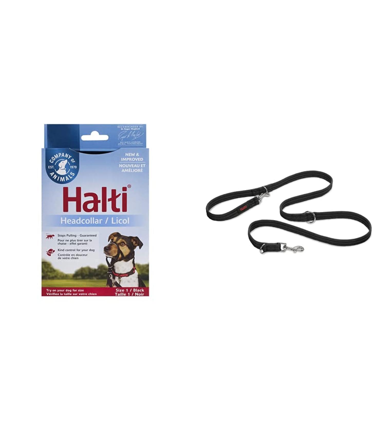 Company of Animals: Halti Headcollar & Double Ended Training Lead Pack suitable for Small Medium and Large dogs - Buy Online on GoSupps.com