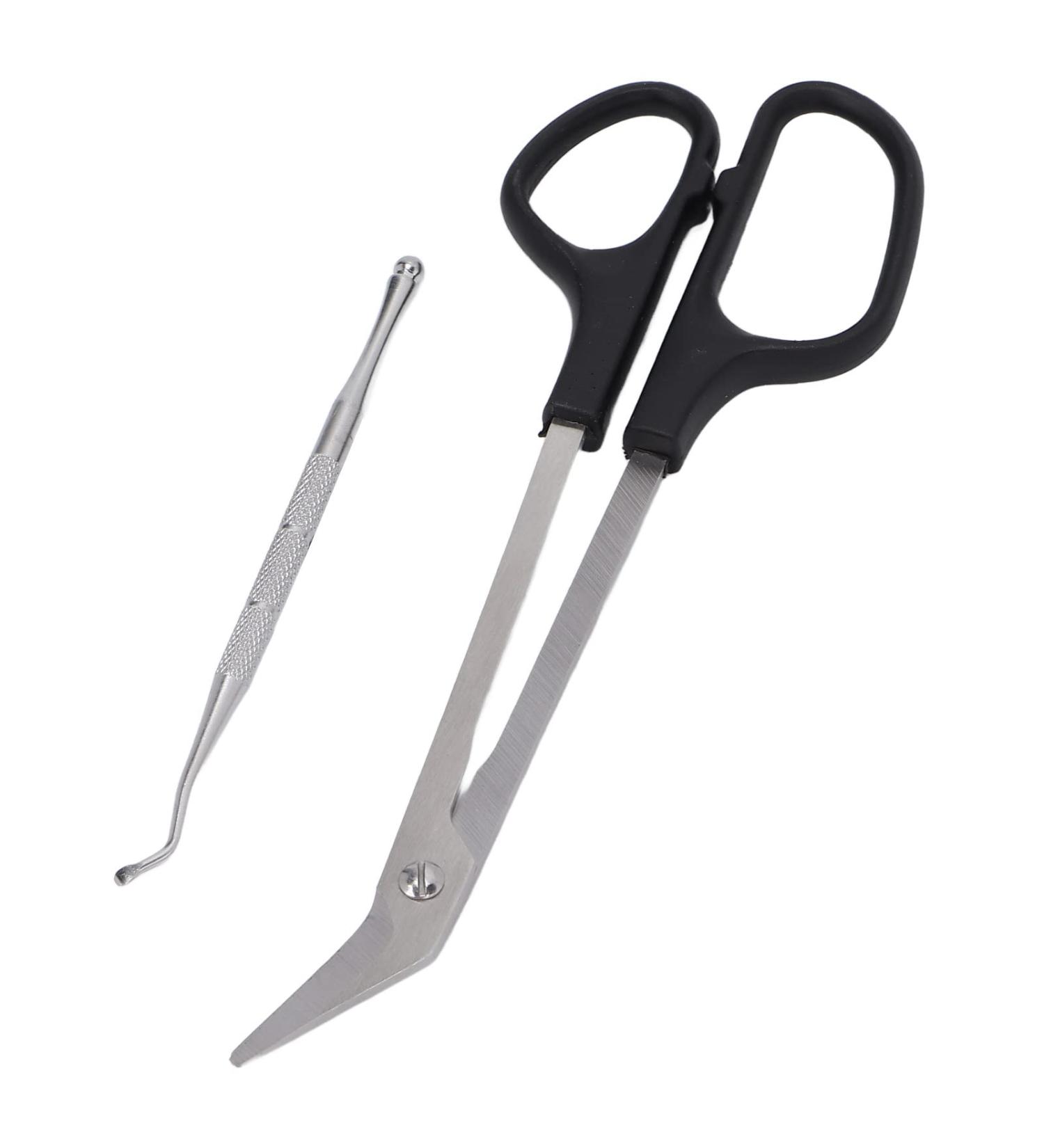 Large Nail Clippers Long Lasting Long Handle Nail Scissors Comfortable to Use Professional Use for Seniors for Adults - Buy Online on GoSupps.com