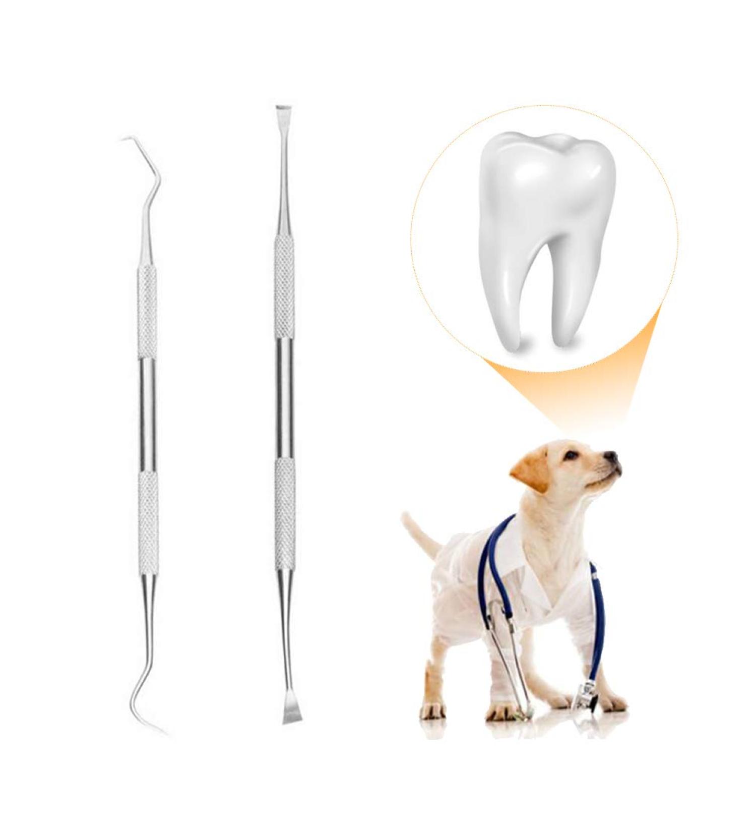 Schecker Tartar Remover Set | Dentist-Quality 2-Part Kit for Dogs Cats & Pets | Effective Tartar Removal - Buy Online on GoSupps.com