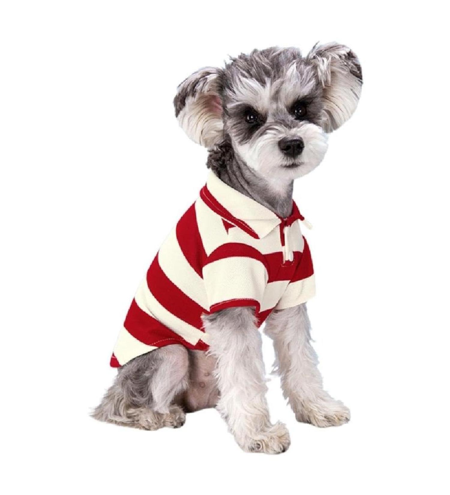 Stylish Polo Shirt for Small Dogs | Summer Striped Puppy Costume & Breathable Clothing | Perfect for Bichon & French Bulldog - Buy Online on GoSupps.com