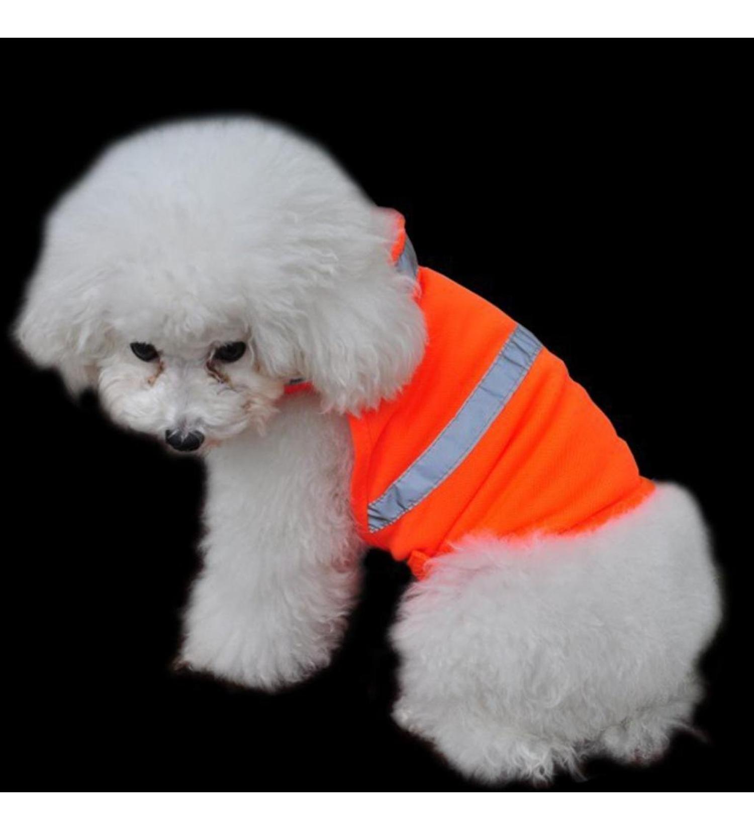 Alcyoneus Adjustable Reflective Dog Vest | Fluorescent Orange Hunting Safety Vest for Dogs - Buy Online on GoSupps.com