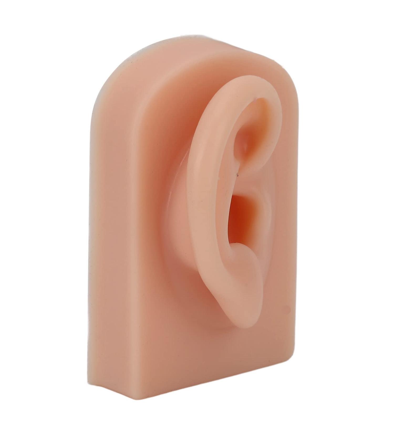 Realistic Dark Skin Silicone Human Ear Model for Acupuncture Training - Reusable & Flexible Right Ear Display - Buy Online on GoSupps.com