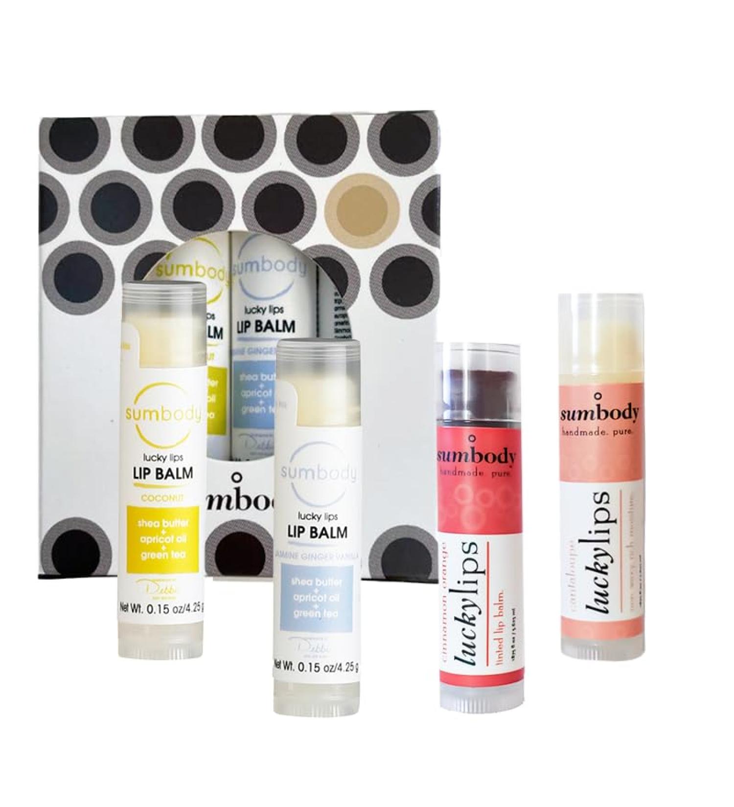 Natural Beeswax Lip Balm Gift Set - Assorted Flavors 100% Pure Ingredients Moisturizing & Nourishing for Dry Cracked Lips - Made in USA - Buy Online on GoSupps.com