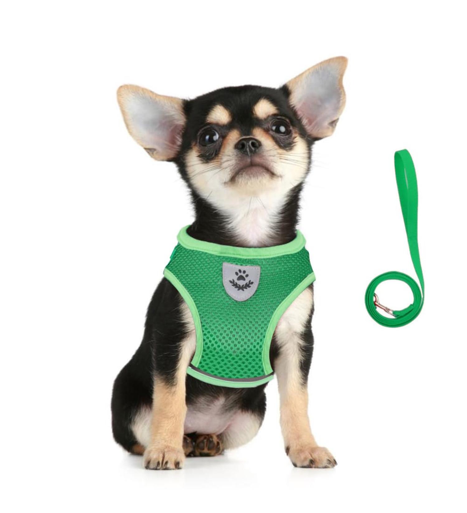 Buy Femax Adjustable Dog Harness & Linen Set - Soft Mesh Padded Dishes for Puppies & Cats | Reflective Breathable XL (Chest 47-52 cm) - Ideal for Walking Running Training - International Shipping Available - Buy Online on GoSupps.com