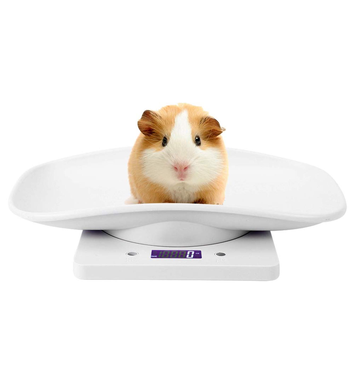 Digital Pet Scale - Accurately Weighs 10kg/1g for Small Pets - Measure Tool for Cats and Dogs - Electronic Kitchen Scale - Buy Online on GoSupps.com