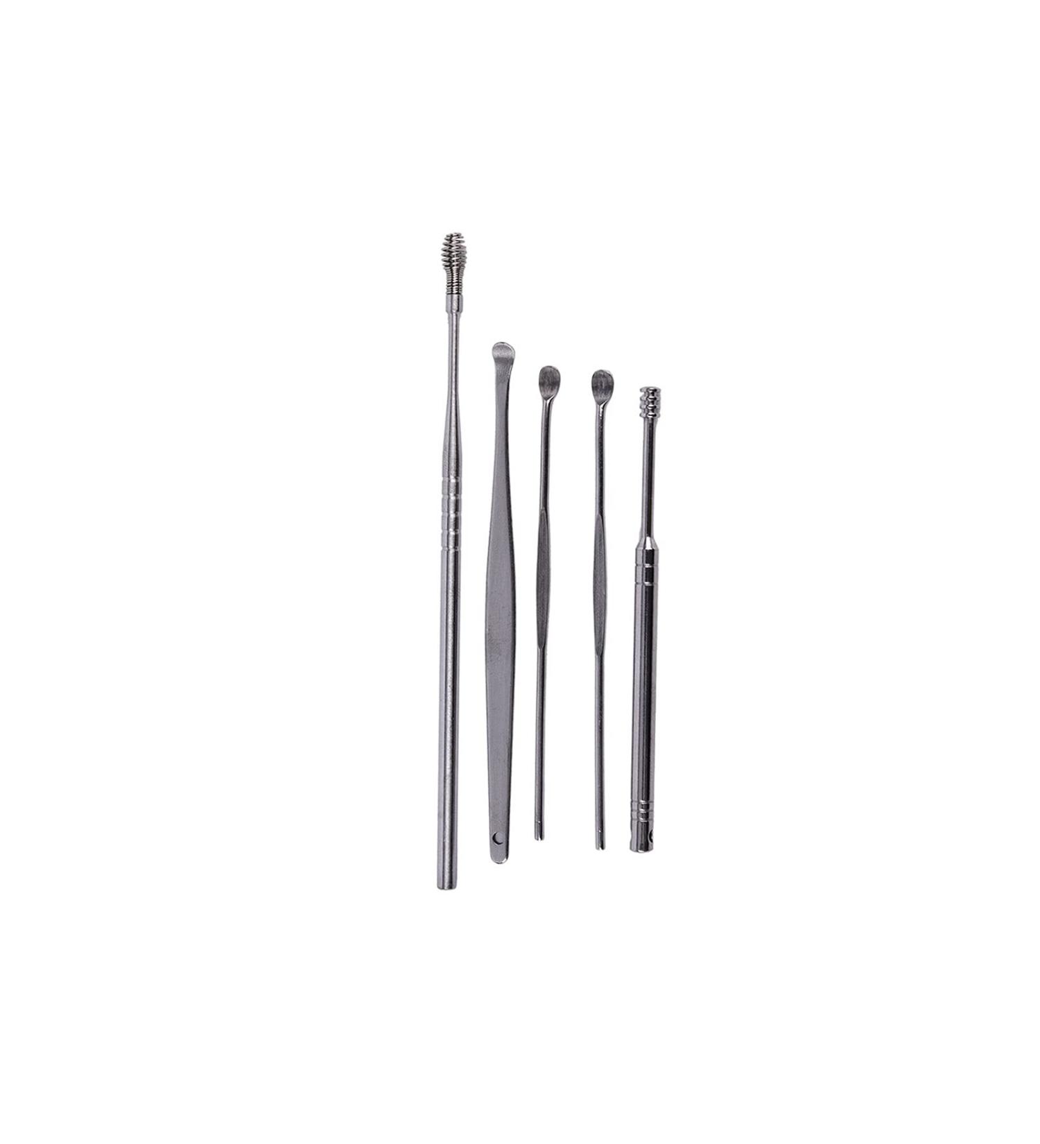 SSWERWEQ Ear wax removal tool 5pcs Stainless Steel Silver Earpick with PP Box Wax Remover Curette Cleaner Health Care Tools Ear Pick - Buy Online on GoSupps.com