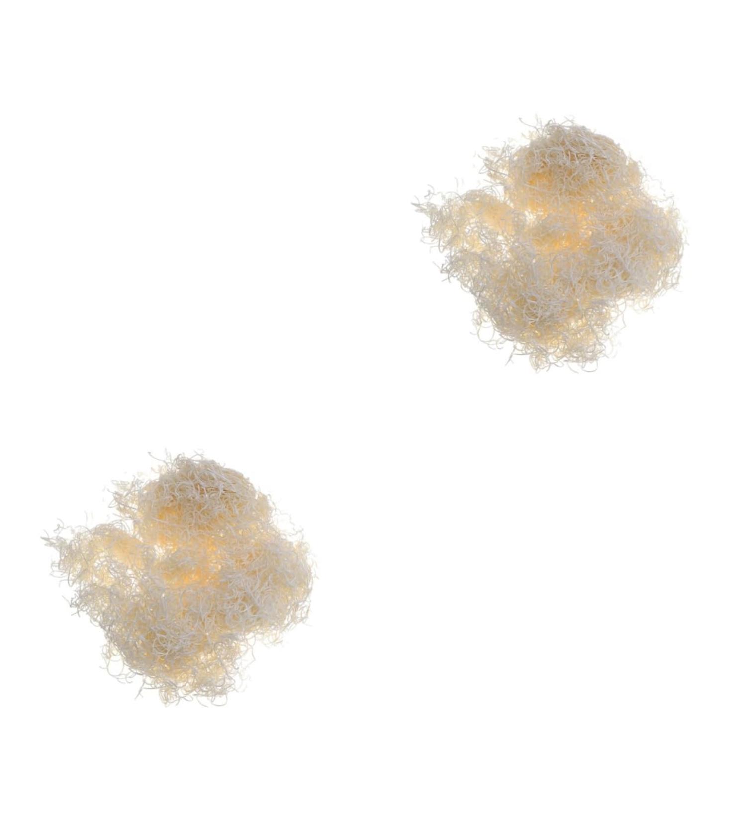 Toddmomy Pet Friendly 2 Packs Natural Lip Stain Natural Lip Gloss Wood Wool Earth Tones Wooden Lip Gloss - Buy Online on GoSupps.com