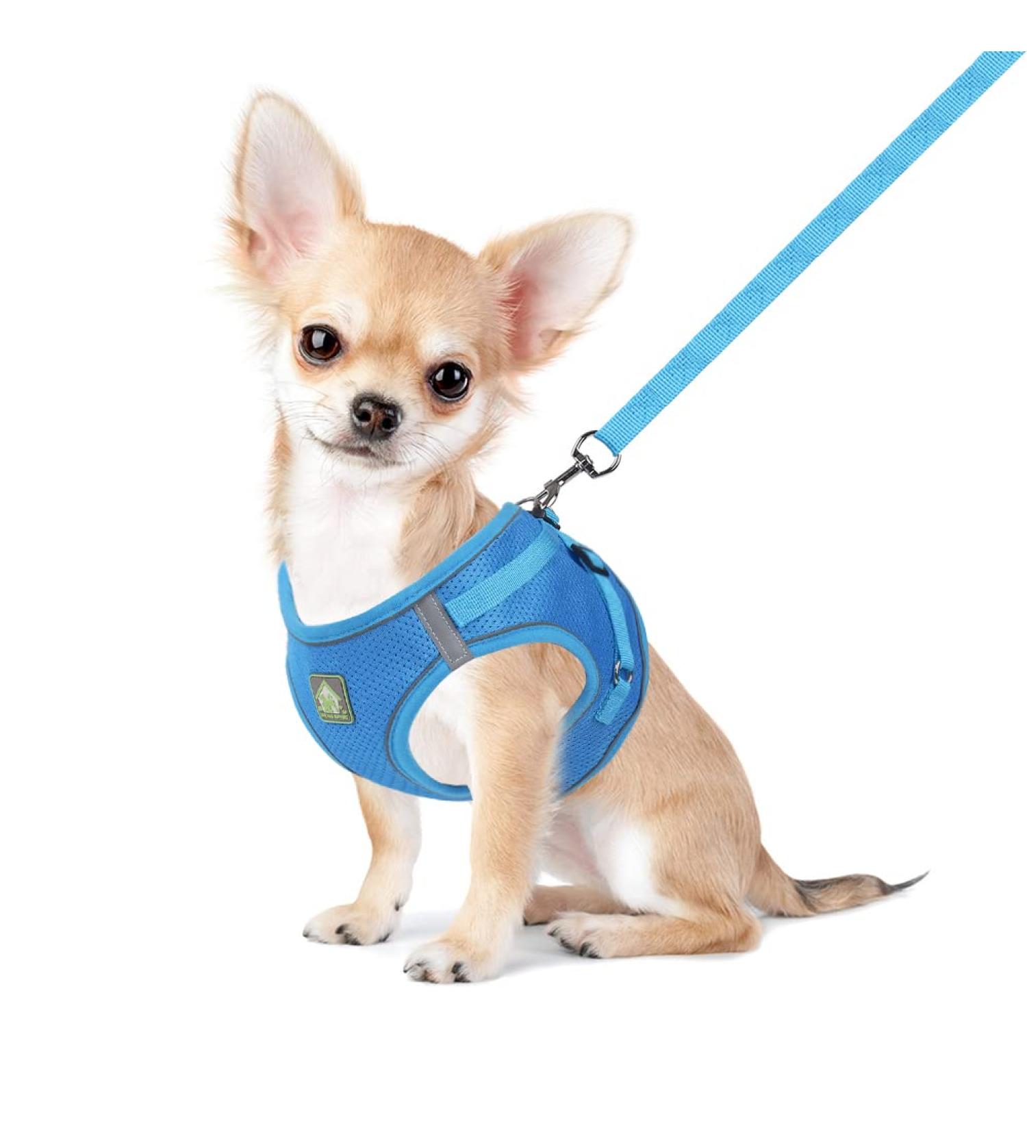 Femax Adjustable Soft Mesh Dog Harness with Leash for Small/Medium Dogs & Cats - No Pull Reflective Breathable Vest for Chihuahua & Puppies (XS: 26-29cm) - Blue - Buy Online on GoSupps.com