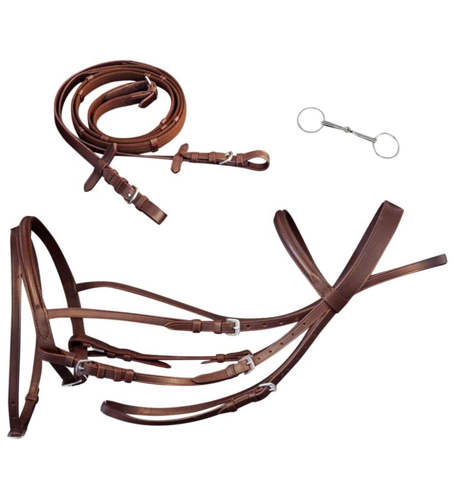 vidaXL Bridle Snaffle Bit Leather Bridle with Reins for Pony - Brown | International Shipping Available - Buy Online on GoSupps.com