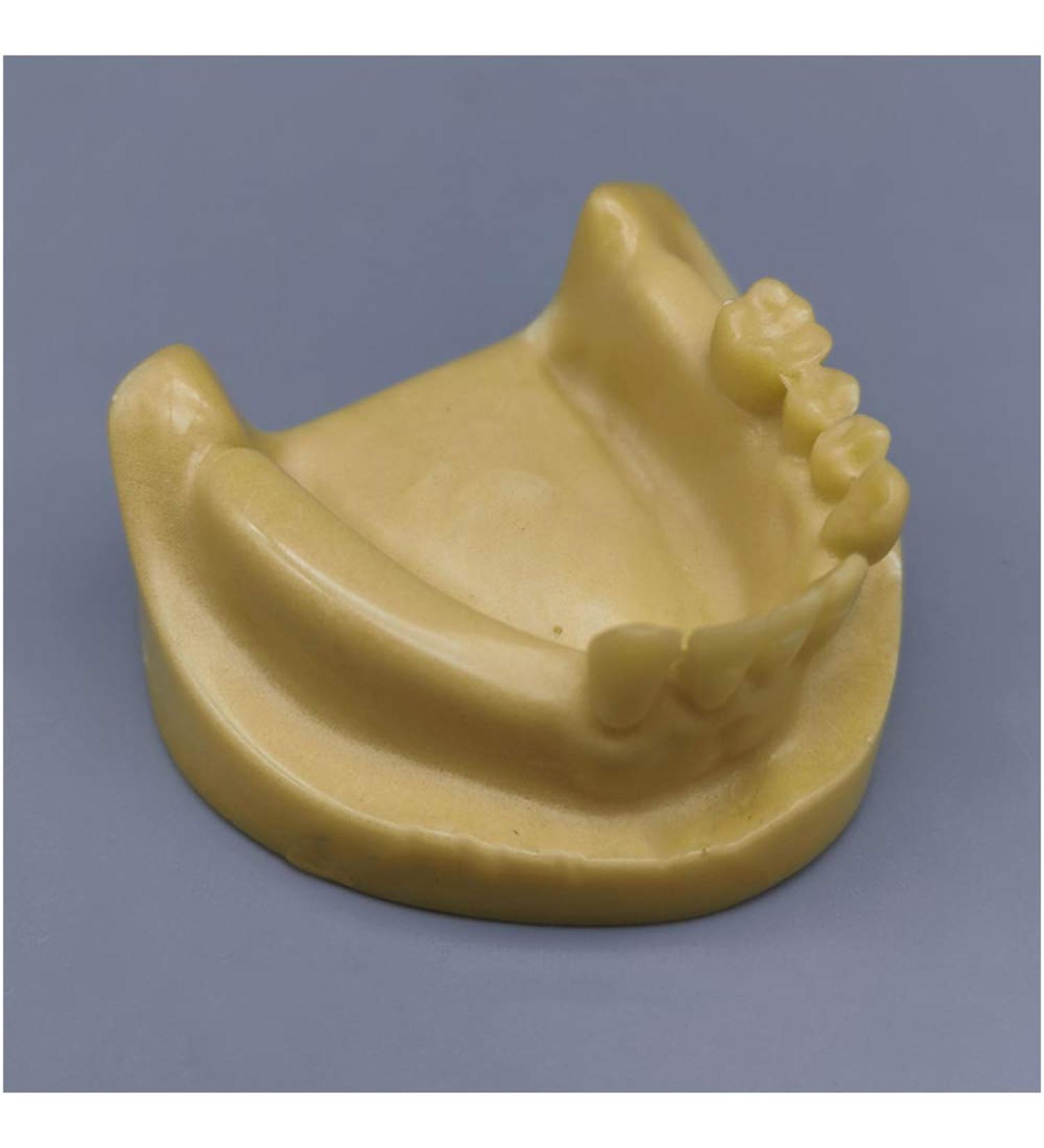 Fhuili Teeth Implant Model - Realistic Dental Simulation for Practice & Education | Lower Half Teeth Demonstration Model - Buy Online on GoSupps.com
