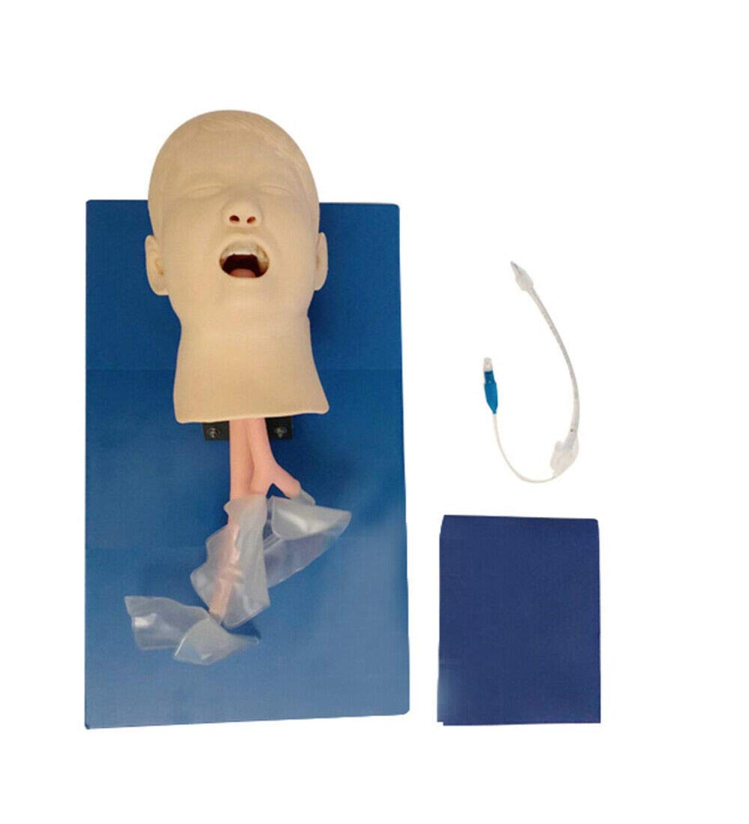 Intubation Model & Airway Management Trainer | Expert Manikin for Oral & Nasal Training | Ideal Teaching Simulator for Lab & School Education - Buy Online on GoSupps.com