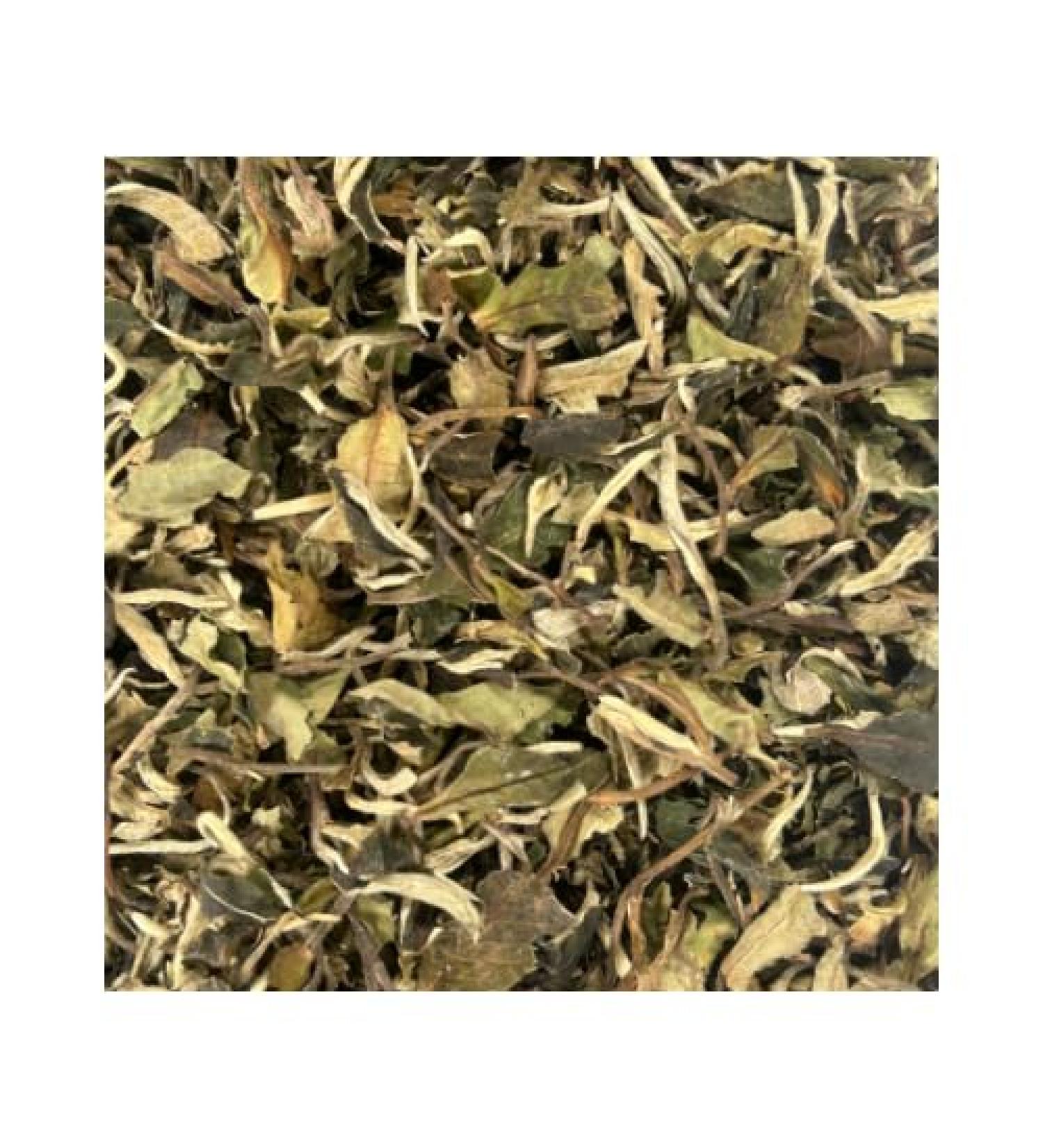 White Tea C/S (114 G) - Buy Online on GoSupps.com