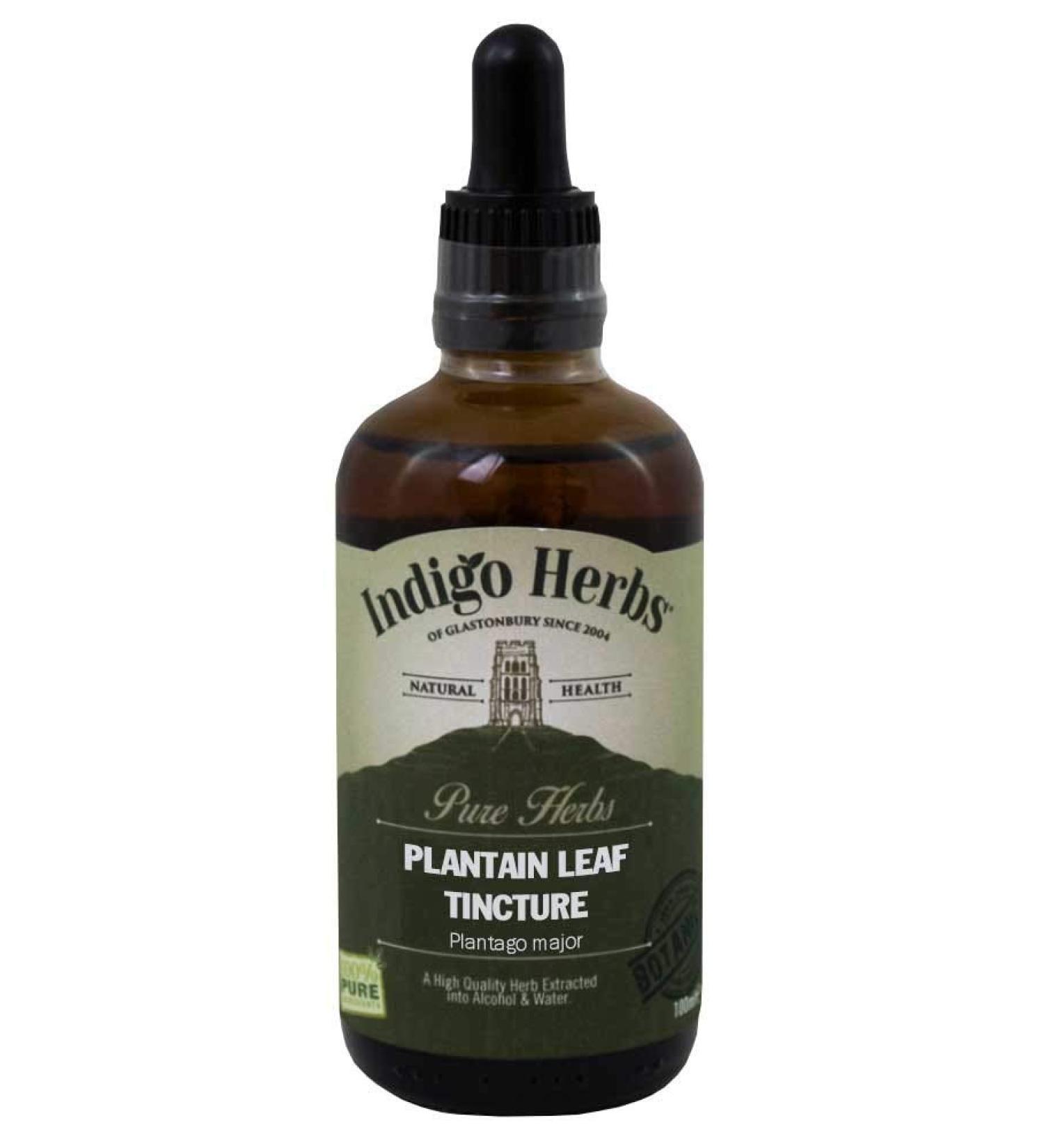 Indigo Herbs Plantago major tincture 100ml - Plantain Leaf