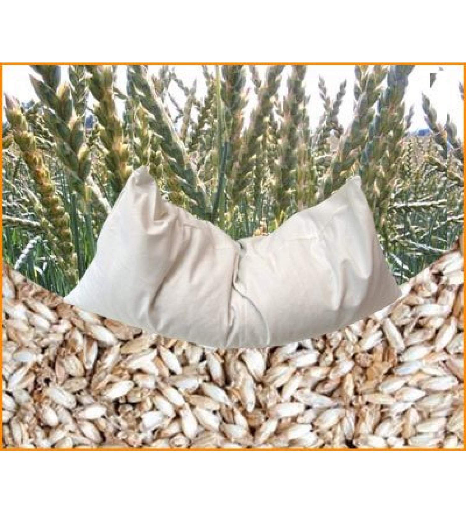 Organic spelt pillow 40 x 40 cm with lining made of 100% organic cotton