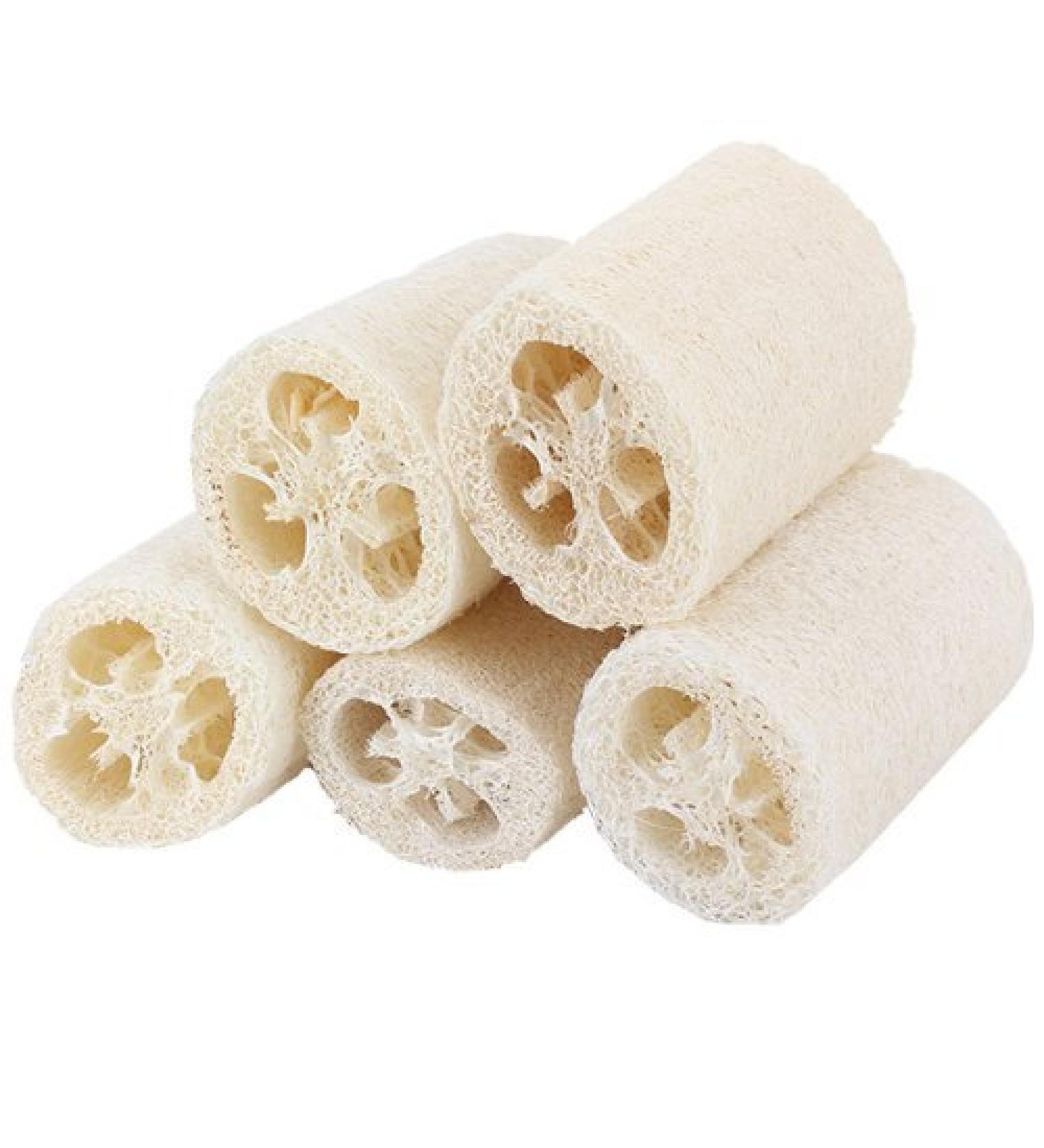 5x Demarkt Natural Loofah Luffa Cucumber Sponge - 10cm Natural Fiber Bath Sponge for Exfoliation | International Shipping Available - Buy Online on GoSupps.com