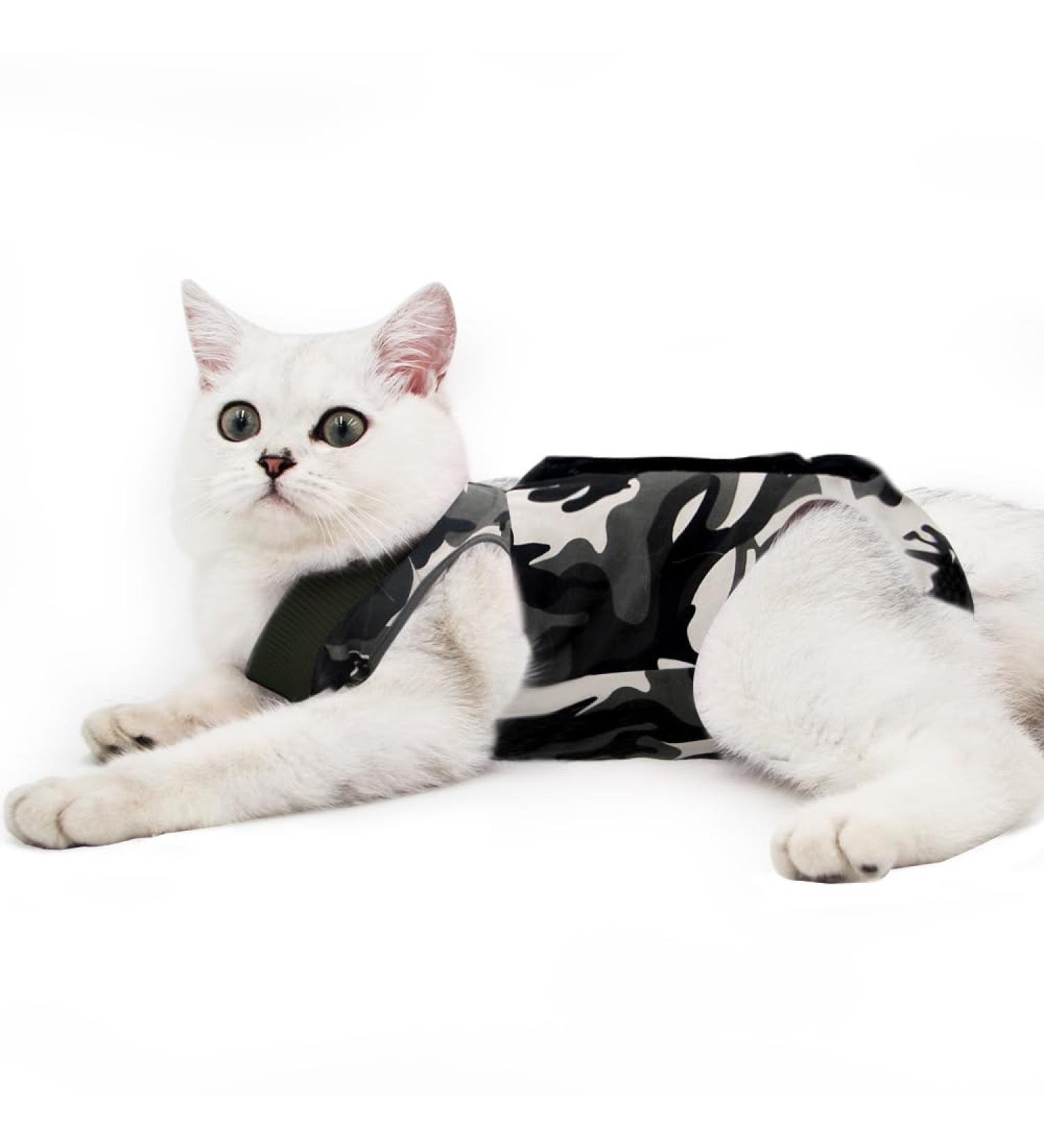 Dotoner Katzenbody After Op - Anti-Trolley Recovery Suit for Cats & Dogs | Skin Disease & Castration Clothing (M Camouflage) - Optimal Comfort & Care - Buy Online on GoSupps.com