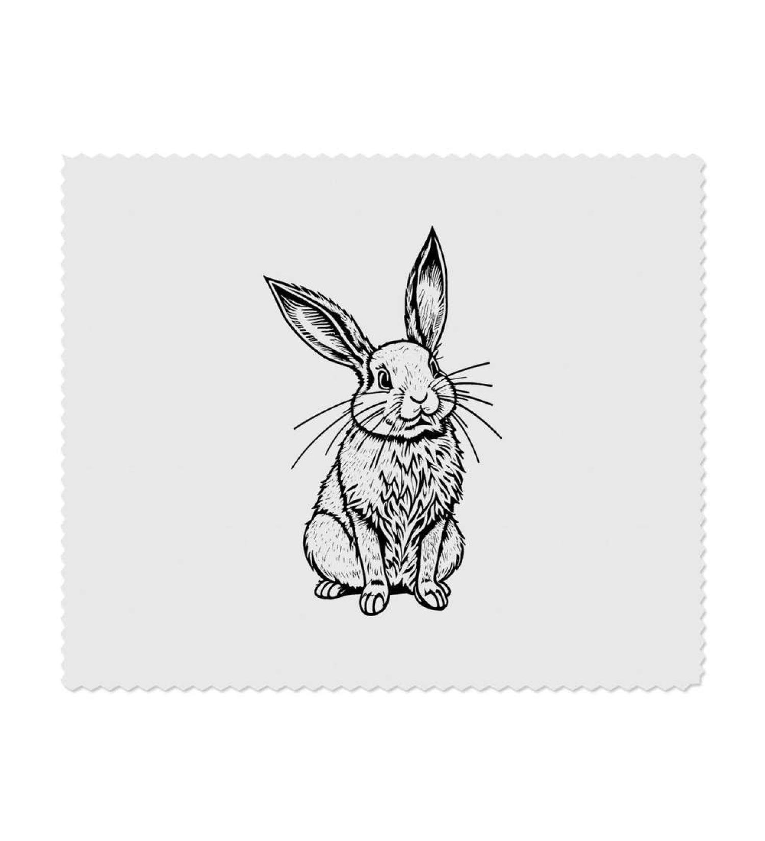 Azeeda Lop Rabbit Microfiber Cleaning Cloths - Pack of 2 | Eco-Friendly & High-Absorbency | International Shipping Available - Buy Online on GoSupps.com