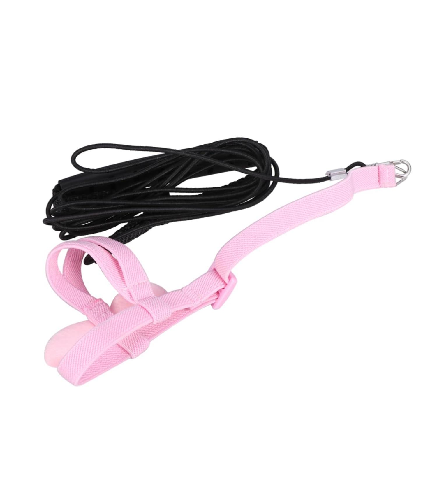 Angoily Dreses Leash Budgie Harness Engraved Dog Tag Bird Leg Ring Pet Harness Strap Walk The Dog Budgerigar 200*10*1.5cm Pink - Buy Online on GoSupps.com