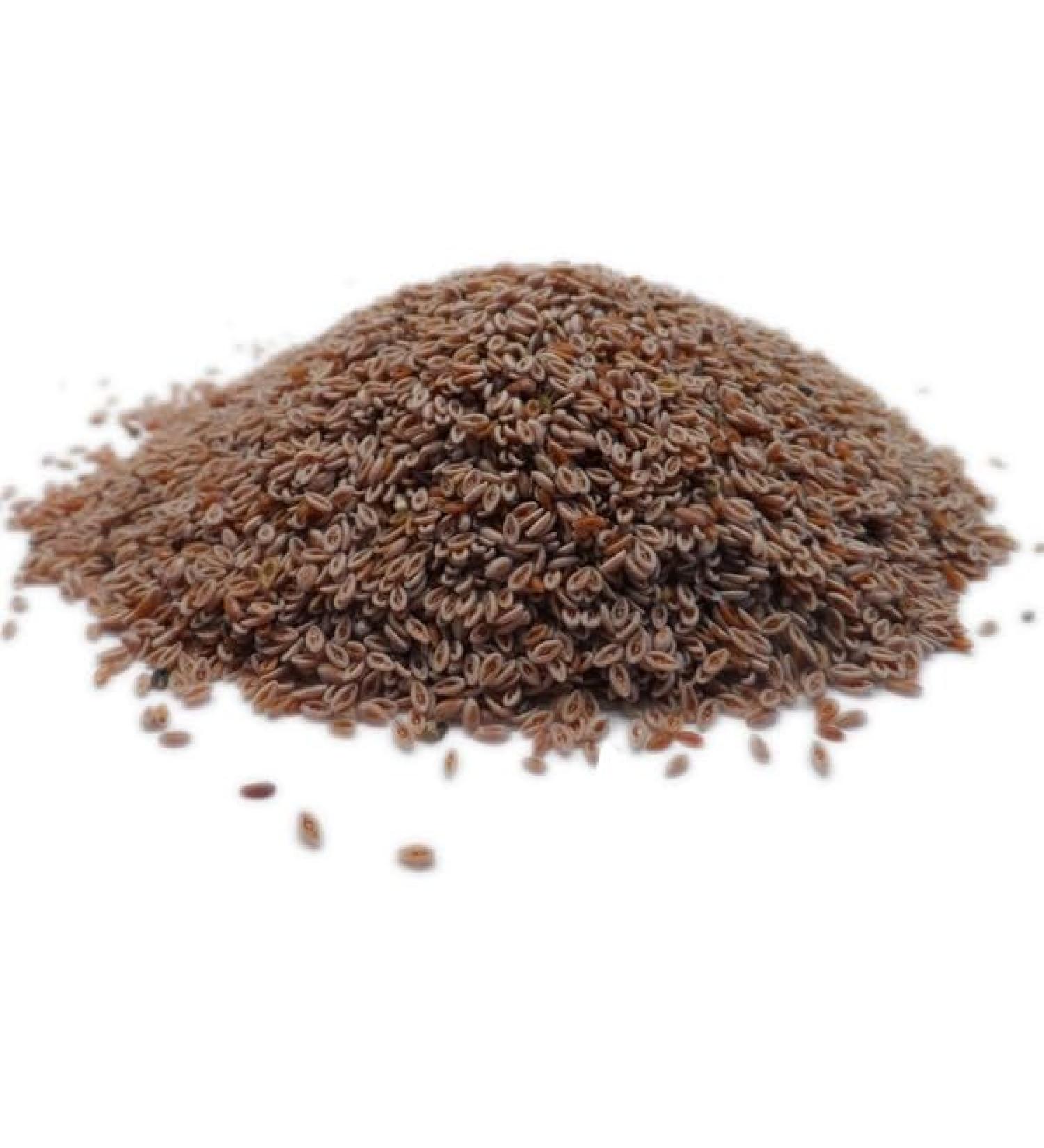 Blond Psyllium (Ispaghul) - Organic Seeds - 100g