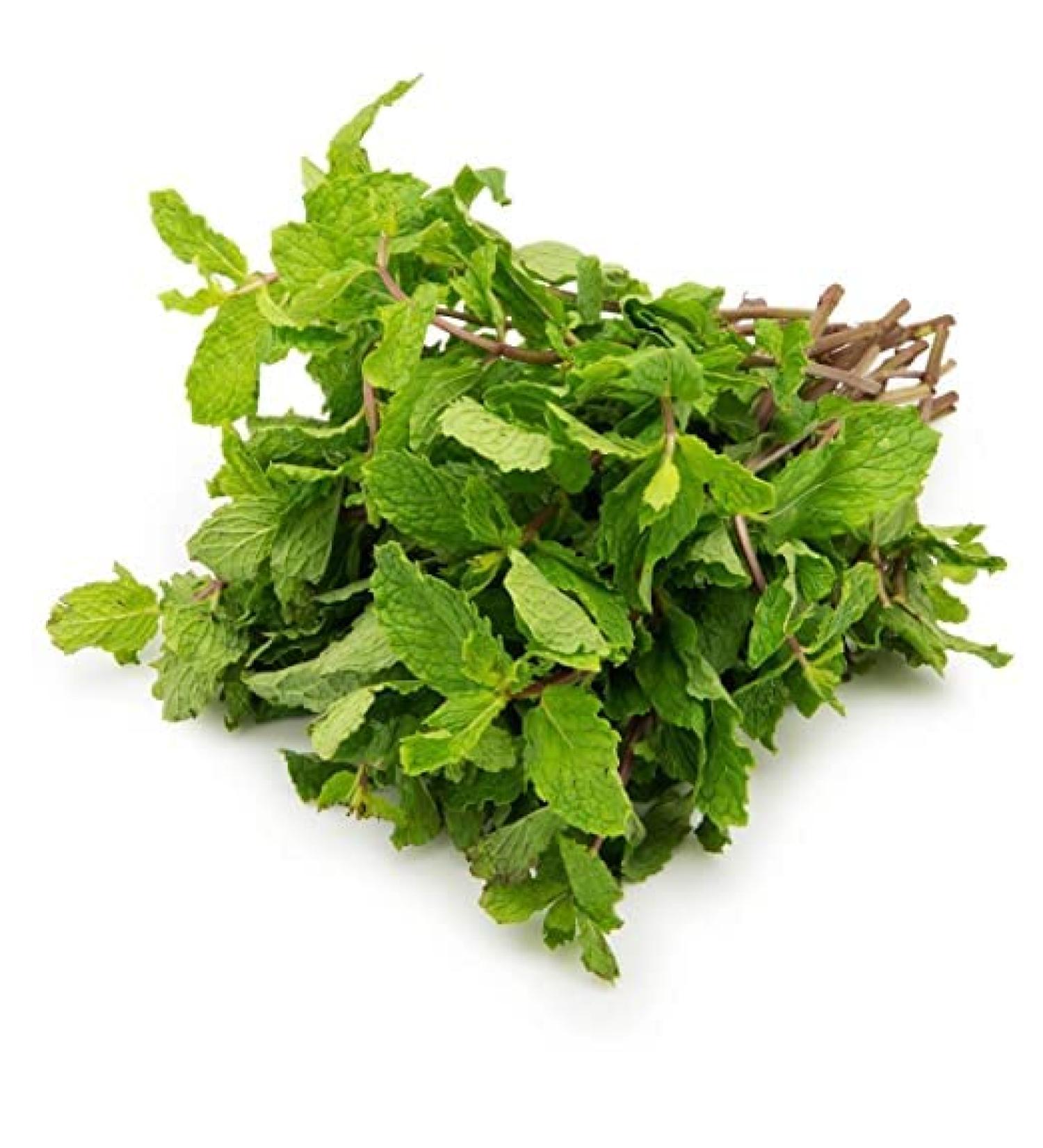 Fresh Mint Leaf Bunch | Single Bunch | Vegetarian | Mint Indian herb | Fresh Leaf | Fresh Mint Leaves | Indian Origin | Approx 200G