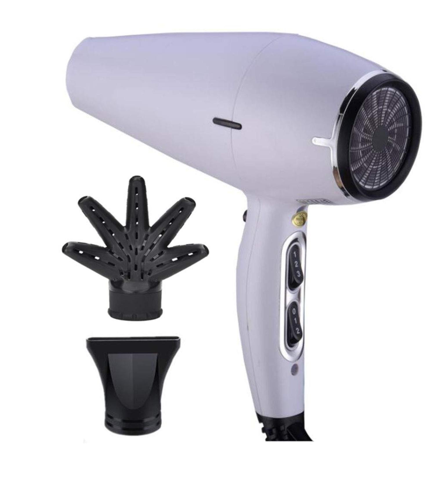 Professional Hair Dryer 2200W Ionic Travel Hair Dryer with Nozzle 3 Heat Levels 2 Speeds for Home and Salon Men and Women (White)