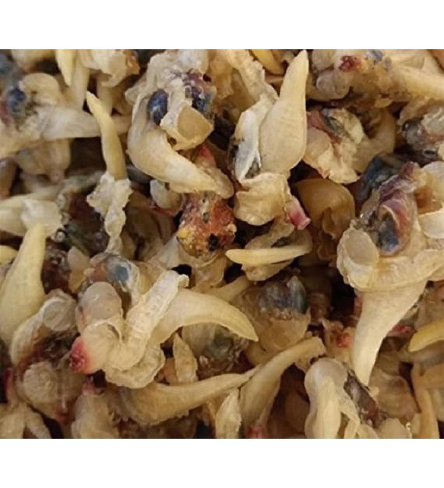 WENXUANSU: Dried seafood clam 2 Pound (908 grams) from South China Sea Nanhai - Buy Online on GoSupps.com